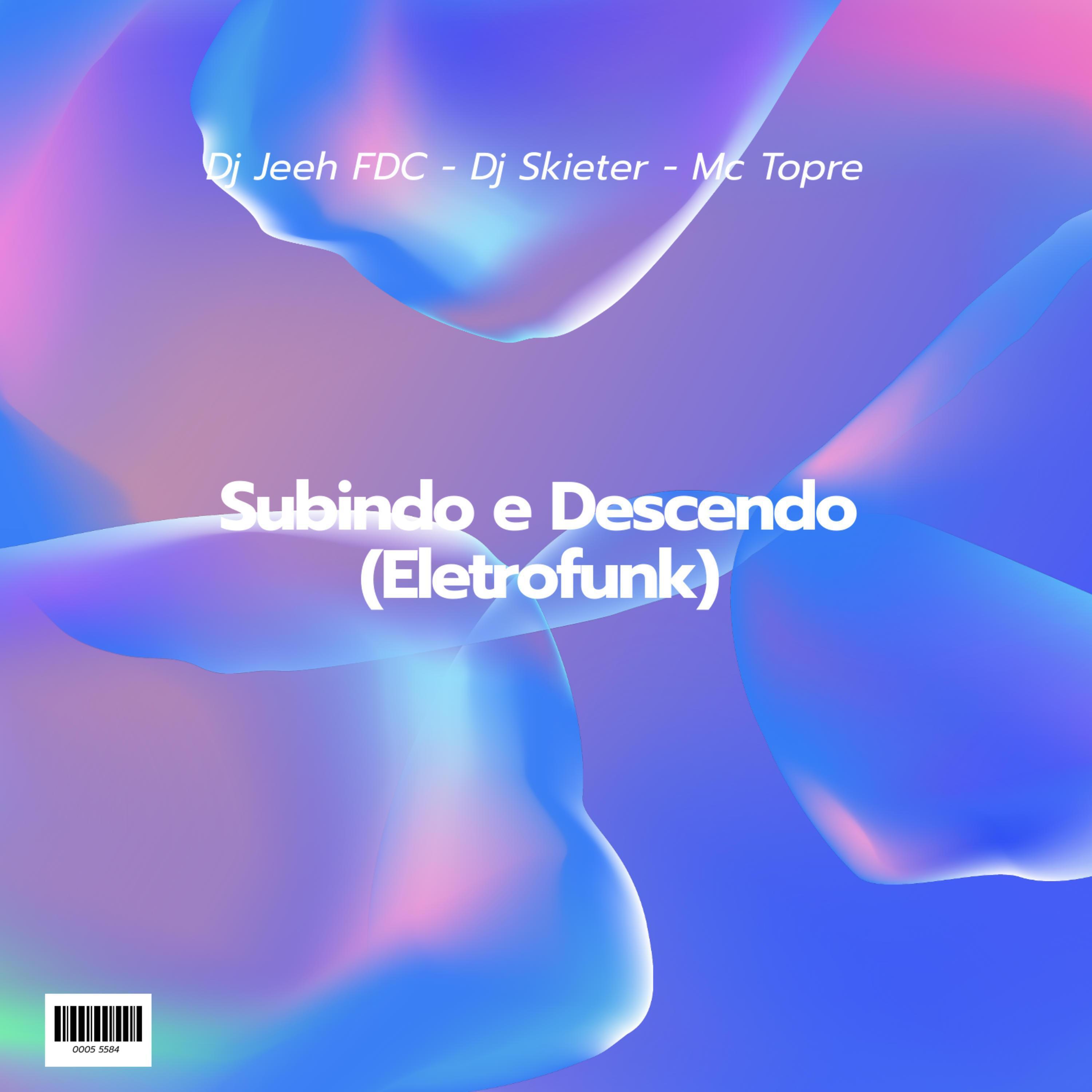 Постер альбома Subindo e Descendo