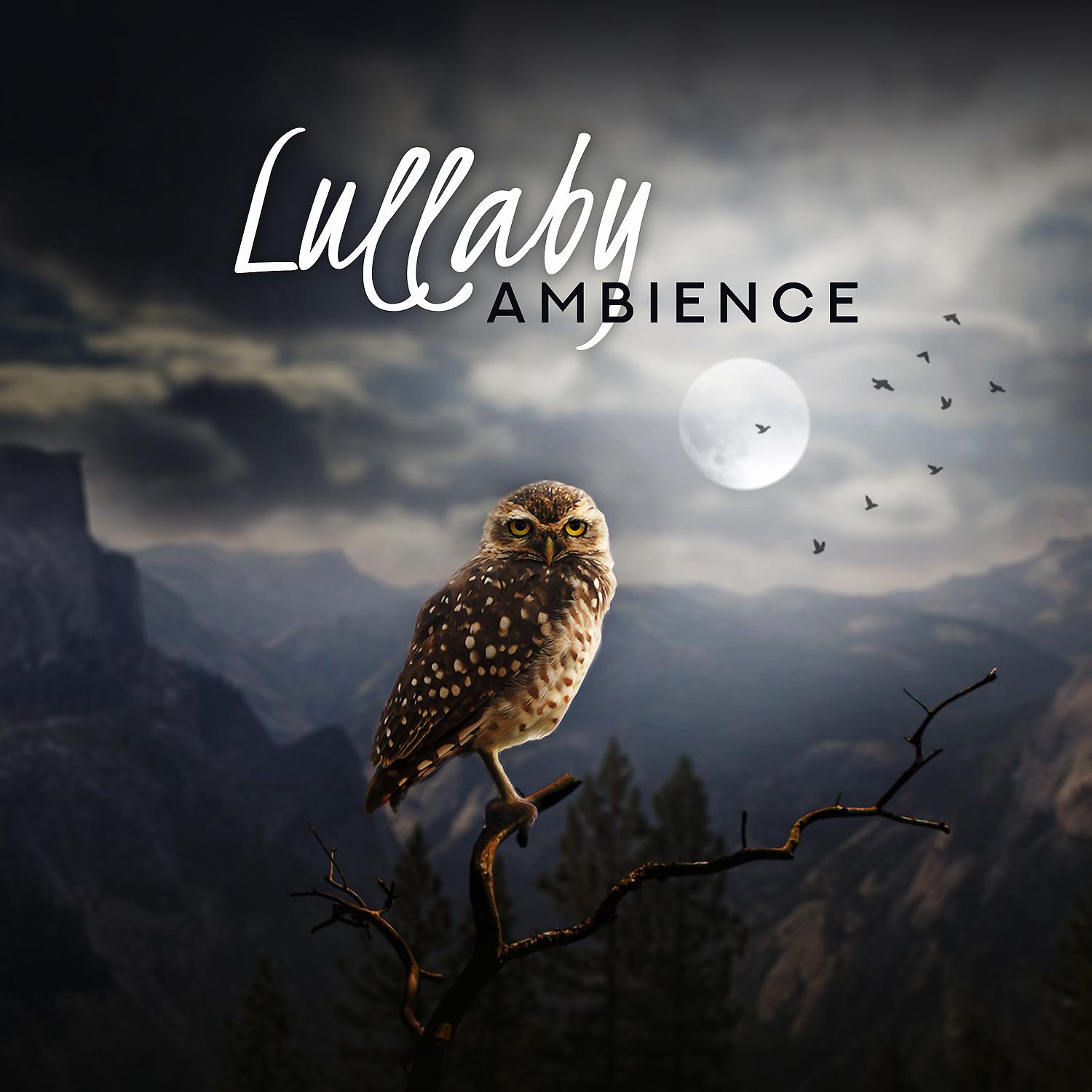 Постер альбома Lullaby Ambience - Sounds of Nature for Deep Sleep and Relaxation