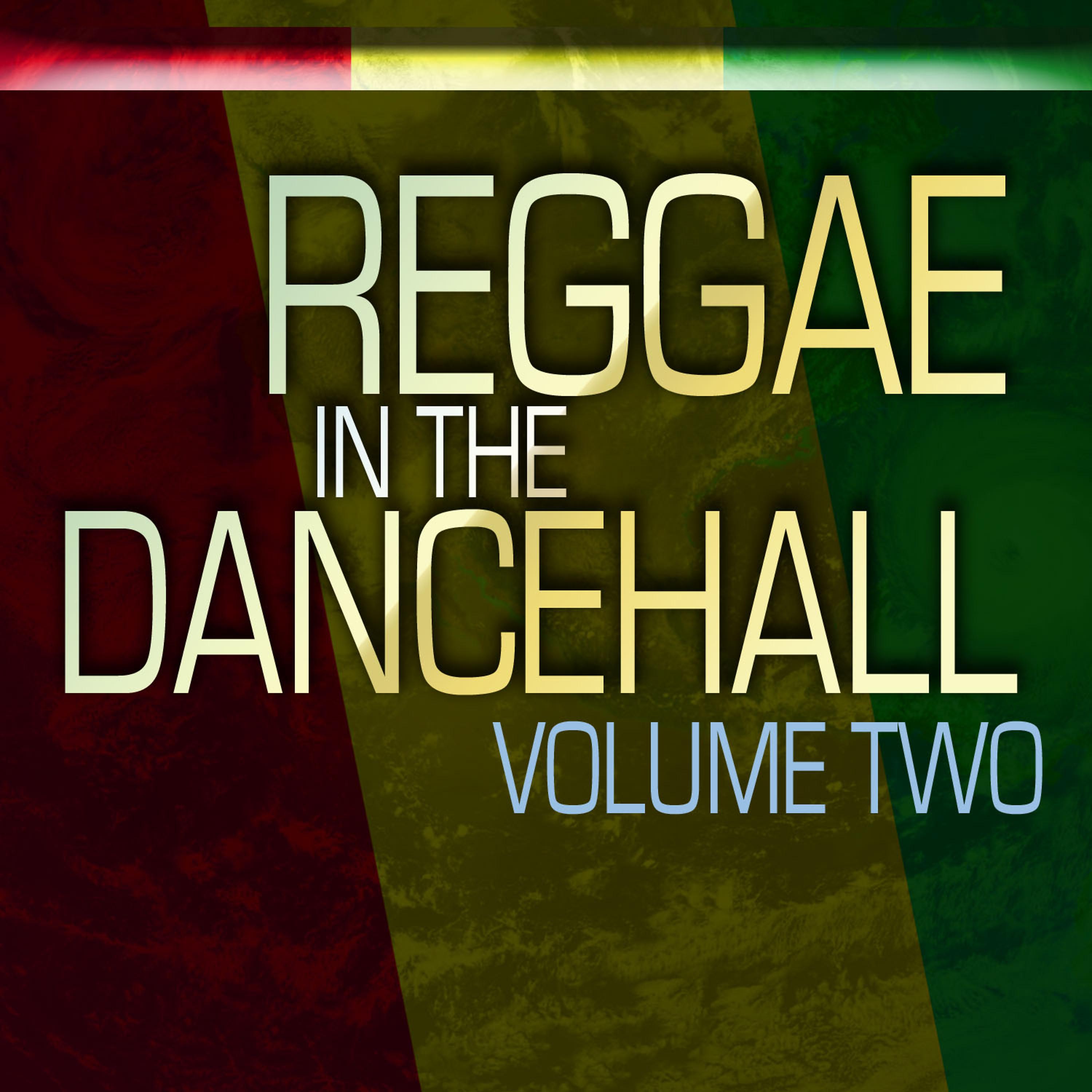Постер альбома Reggae In The Dancehall Vol 2