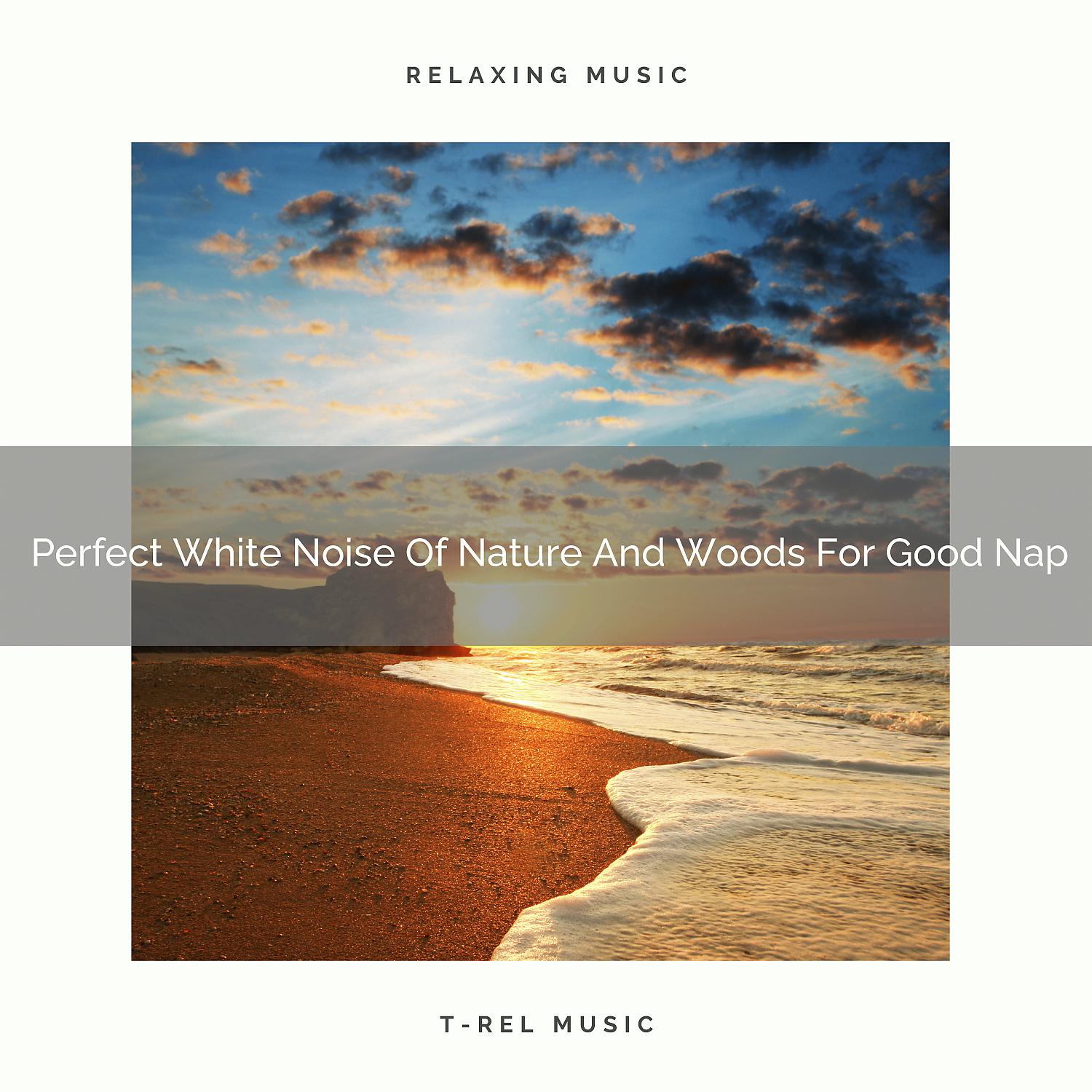 Постер альбома Perfect White Noise Of Nature And Woods For Good Nap