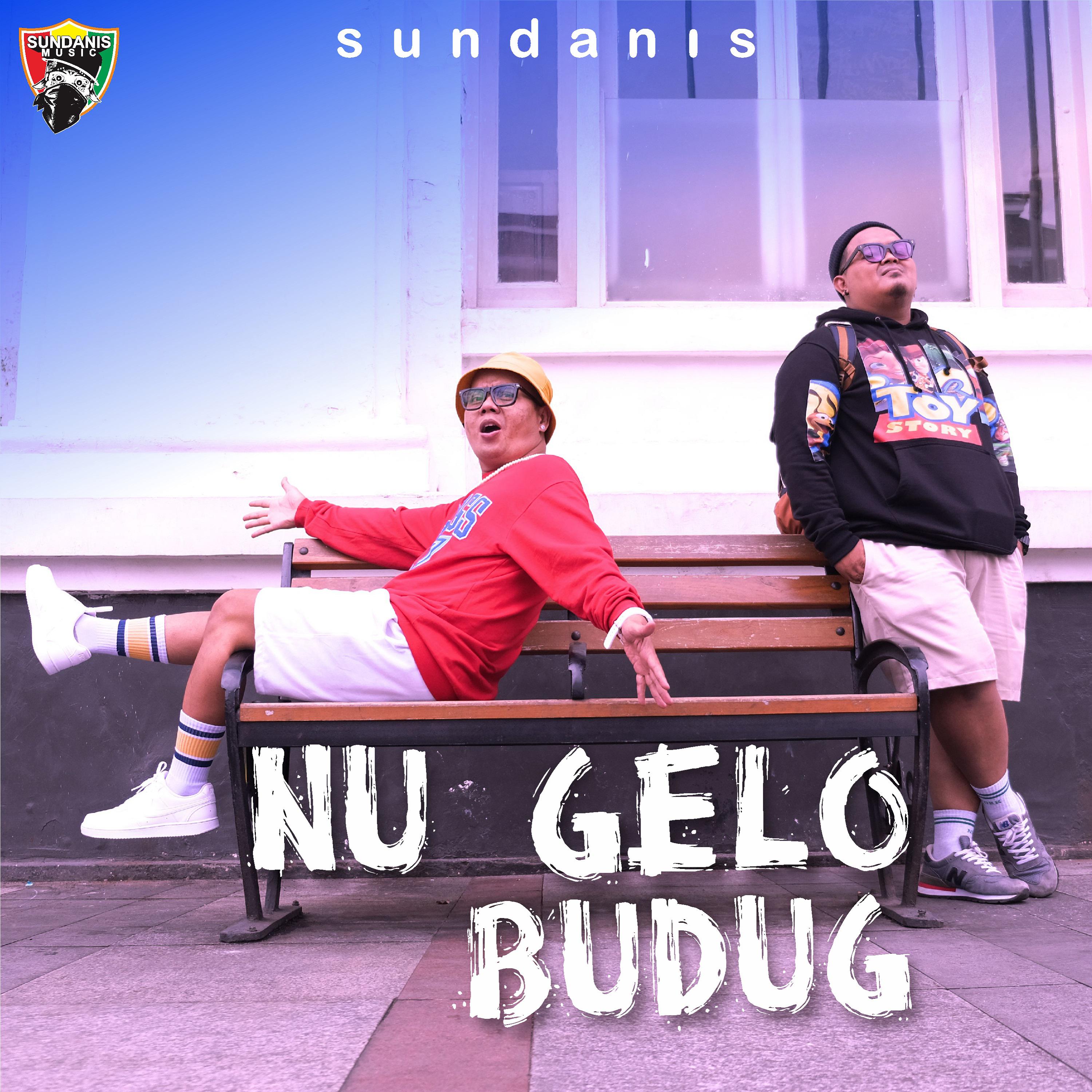 Постер альбома Nu Gelo Budug