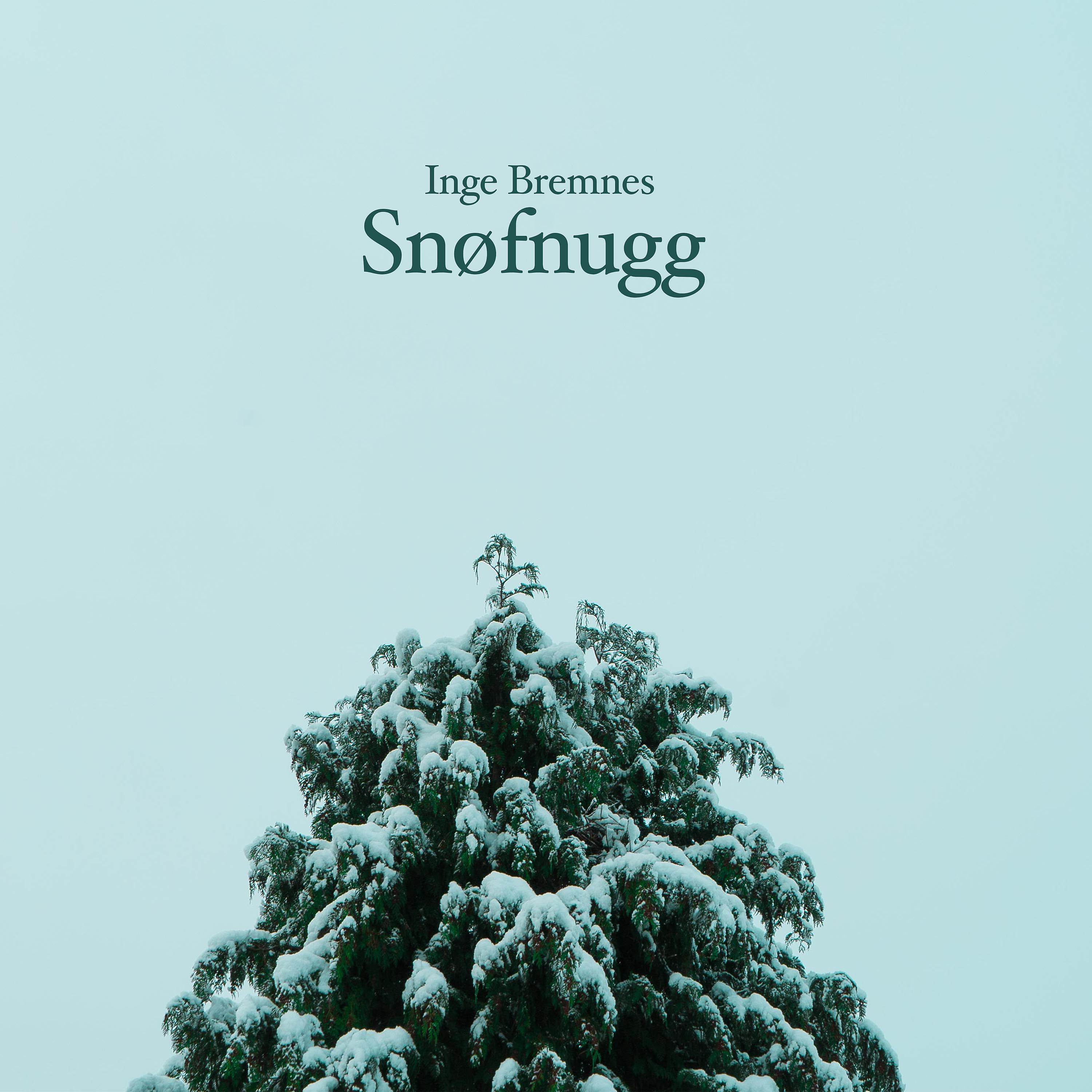 Постер альбома Snøfnugg