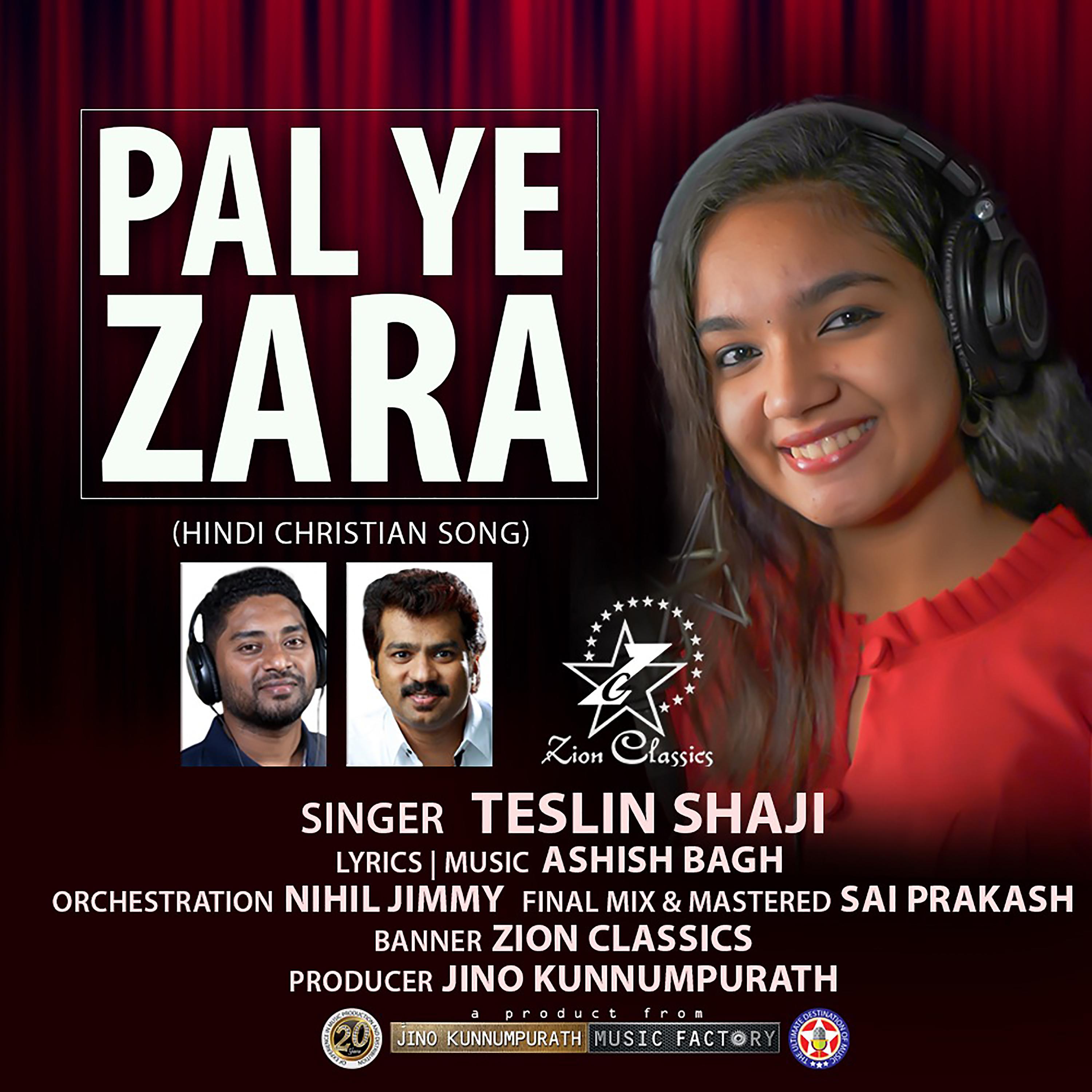 Постер альбома Pal Ye Zara - Single
