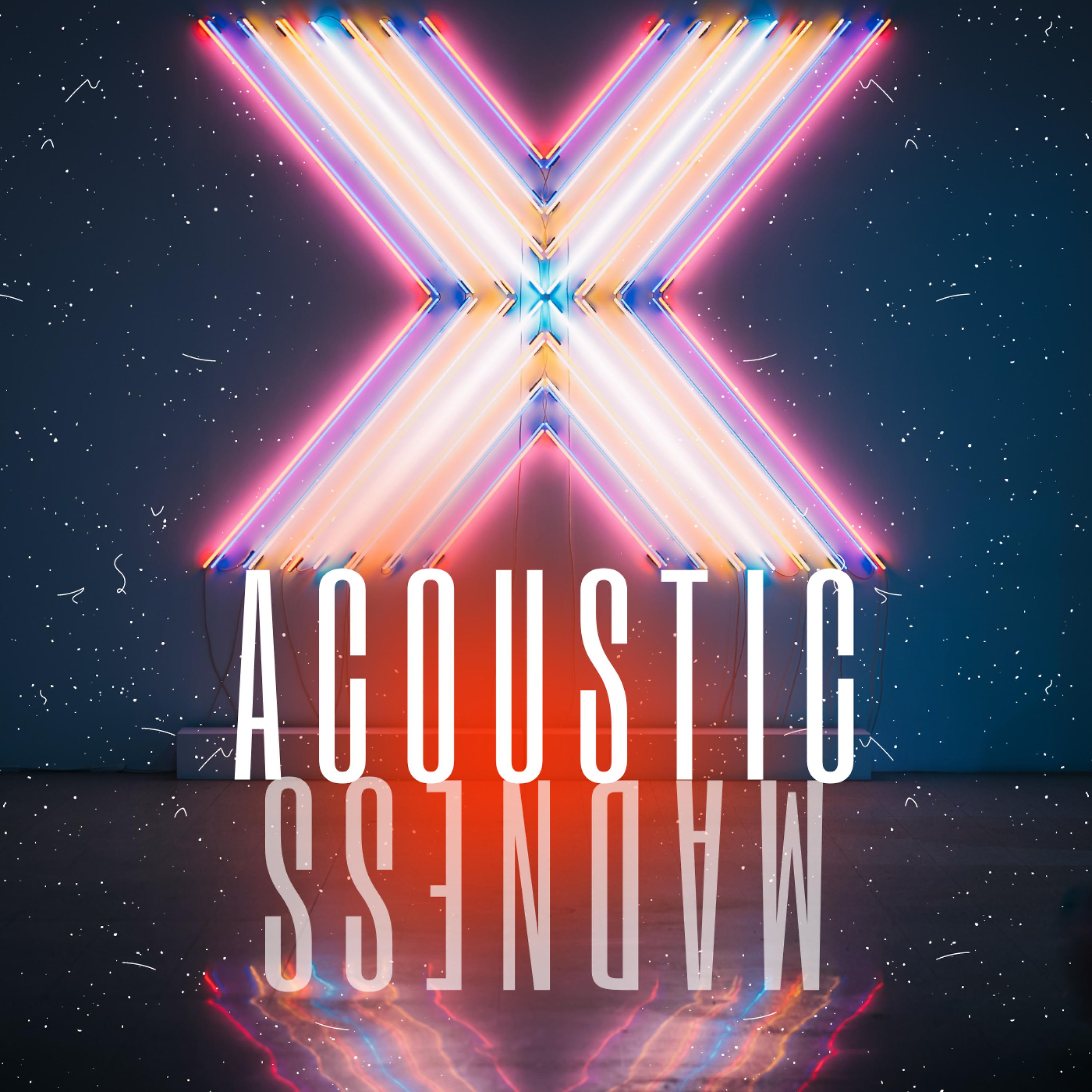 Постер альбома X: Acoustic Madness