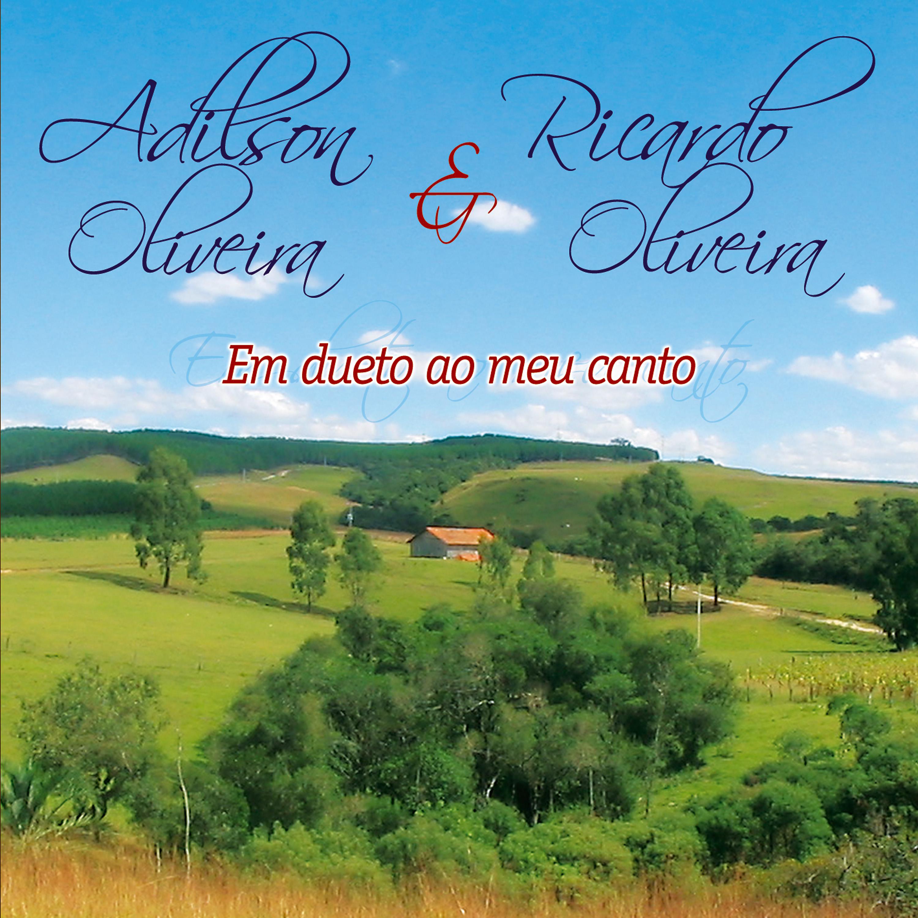 Постер альбома Em Dueto Ao Meu Canto