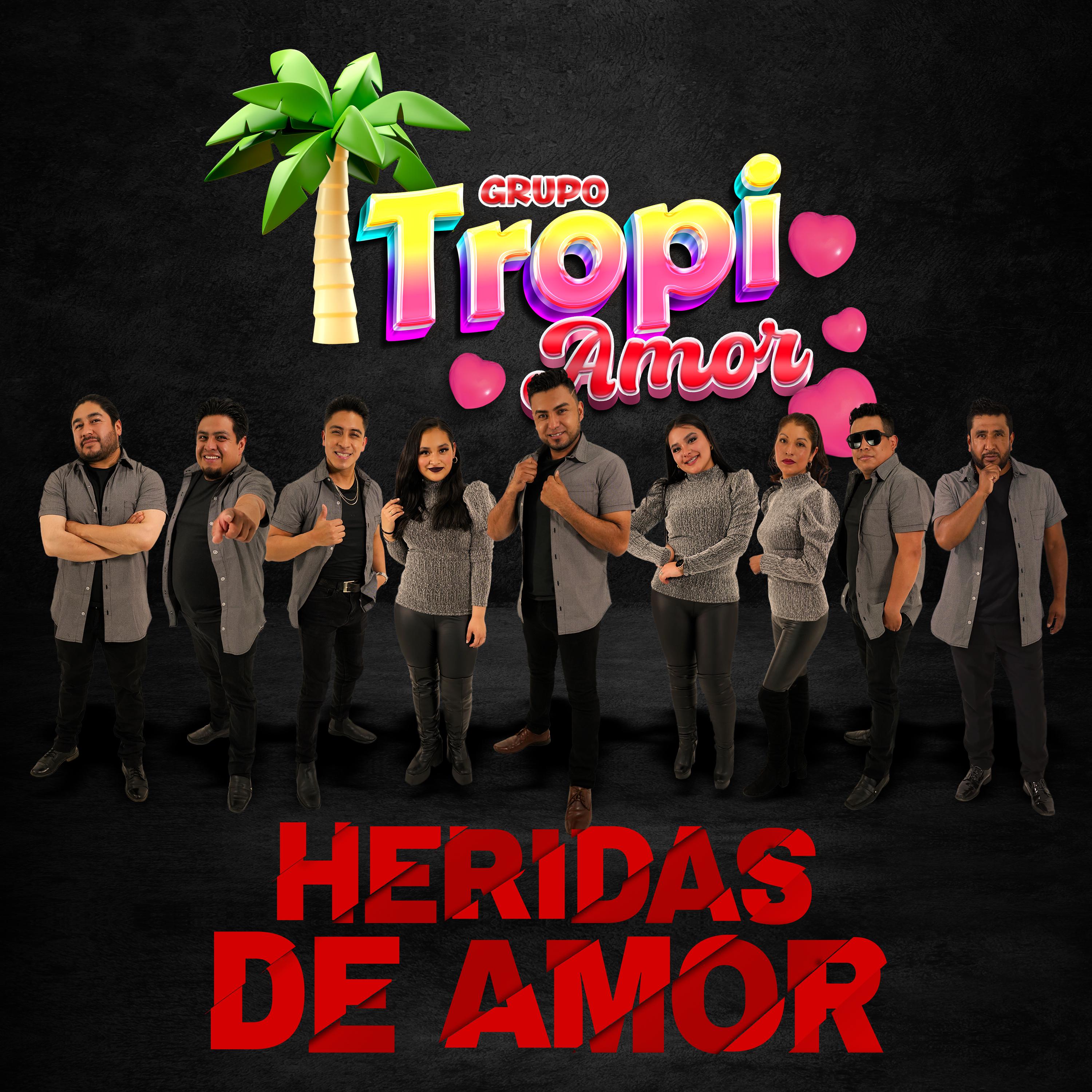 Постер альбома Heridas de Amor