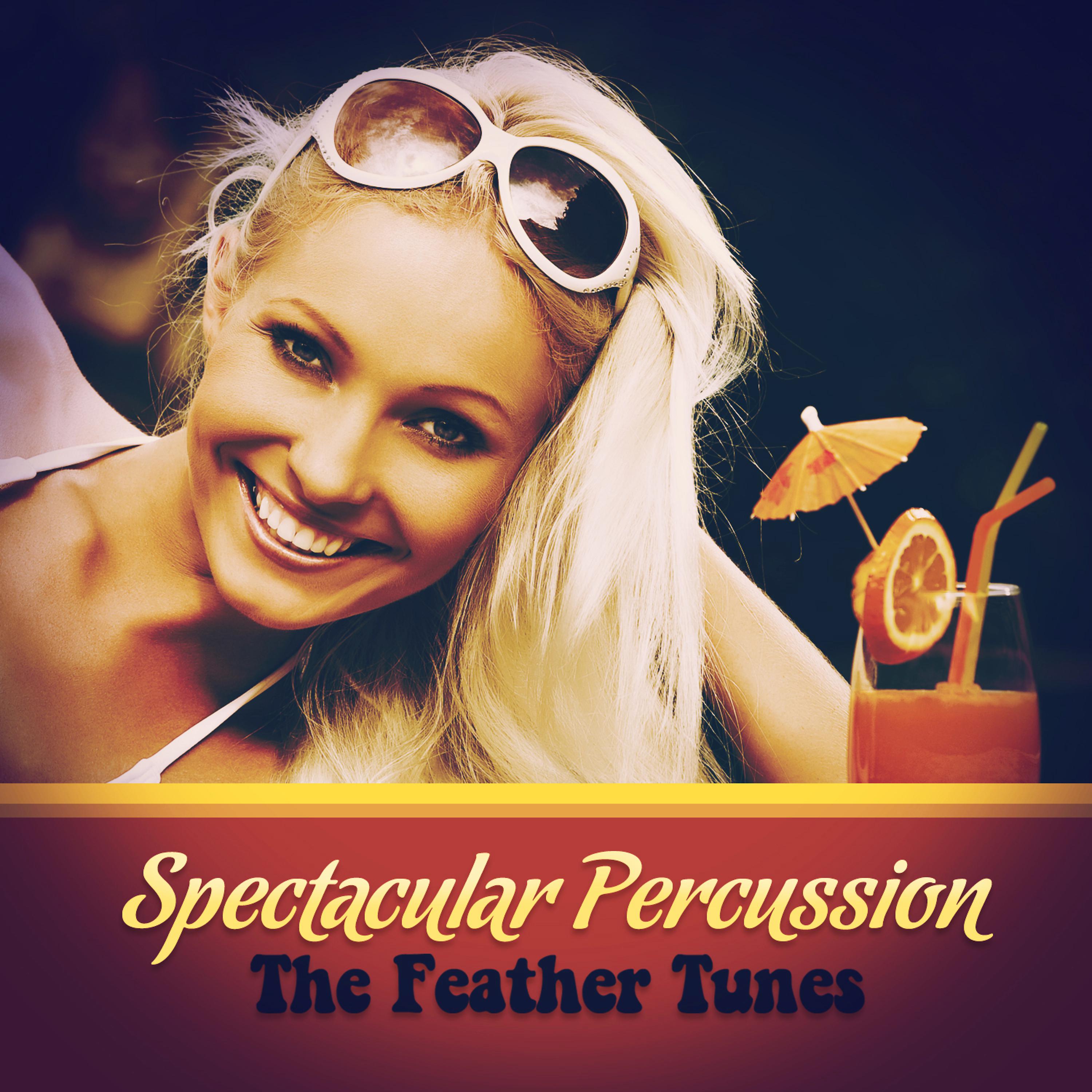 Постер альбома Spectacular Percussion
