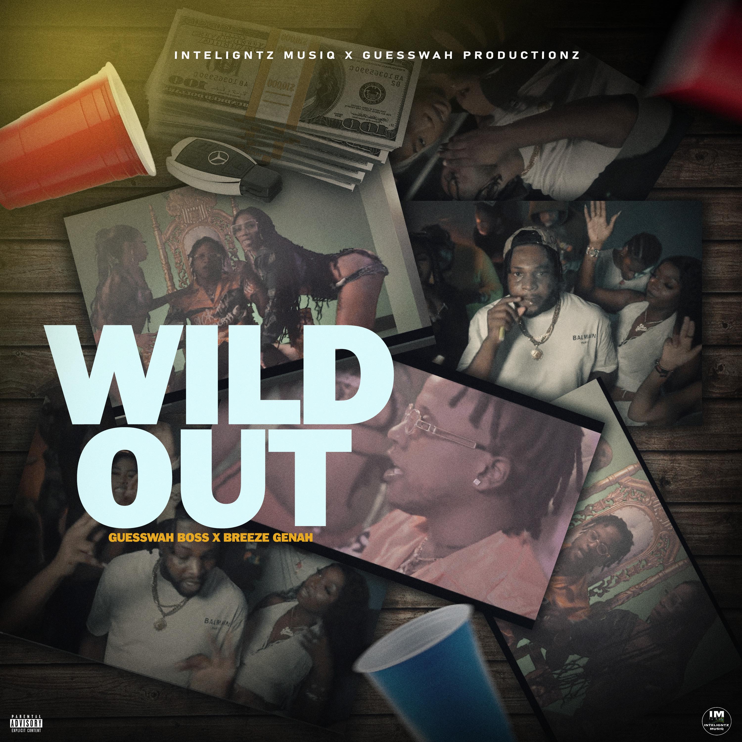 Постер альбома Wild Out