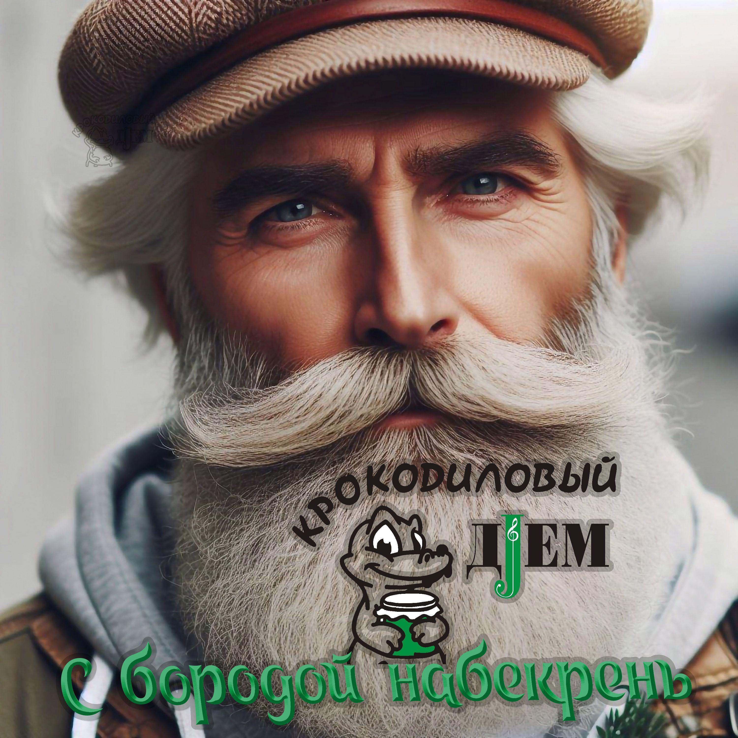 Постер альбома С бородой набекрень