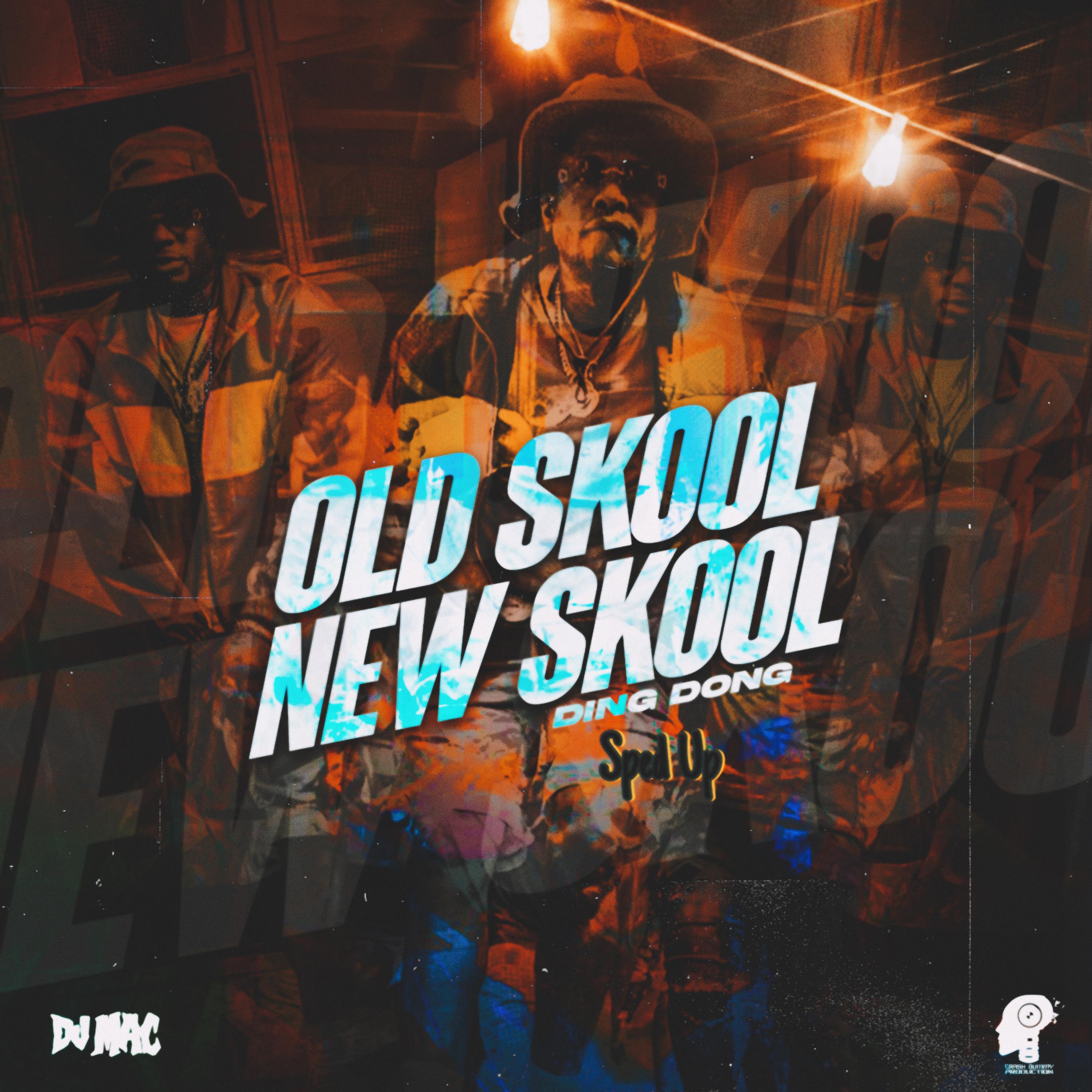 Постер альбома Old Skool New Skool (Sped Up)