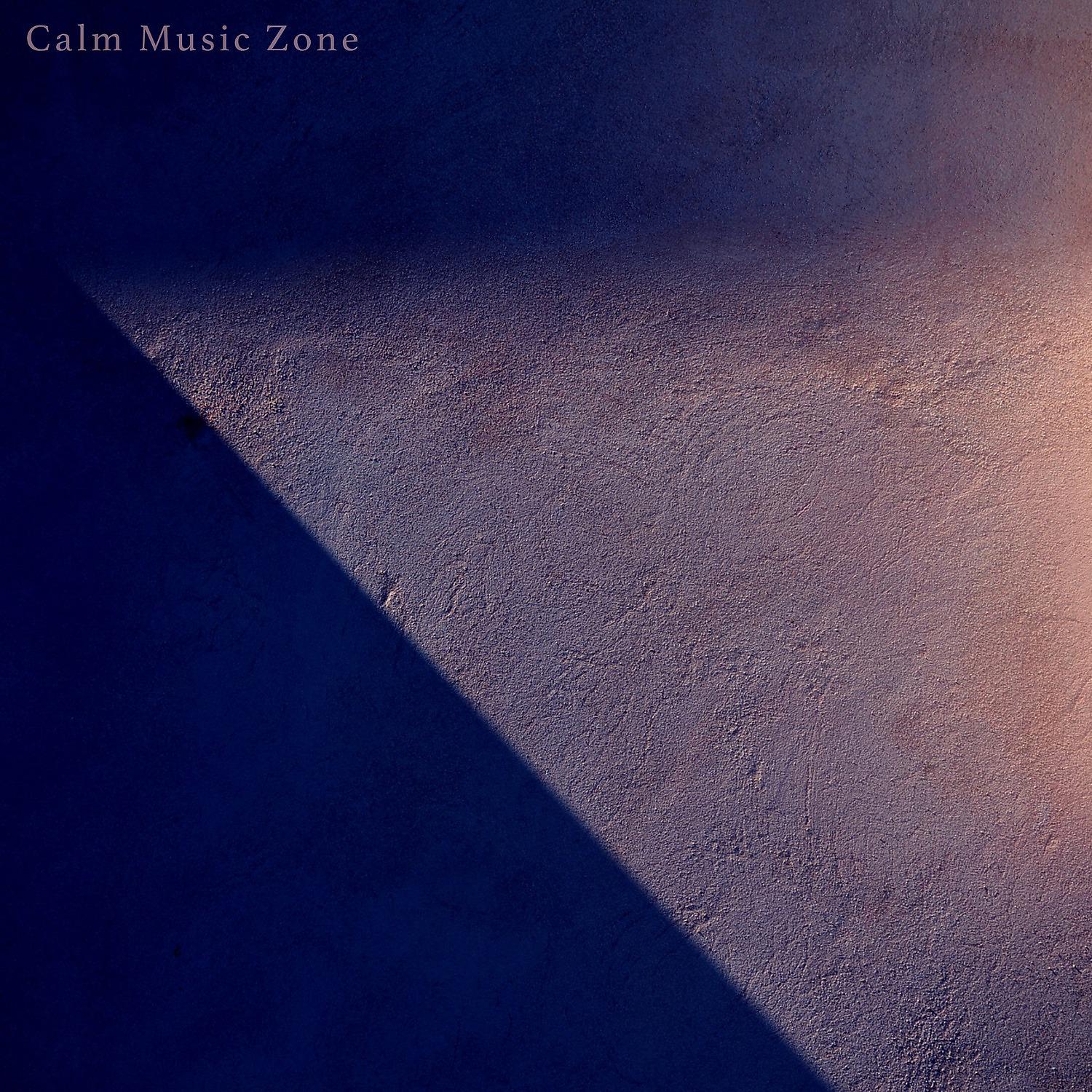 Постер альбома Calm Music Zone