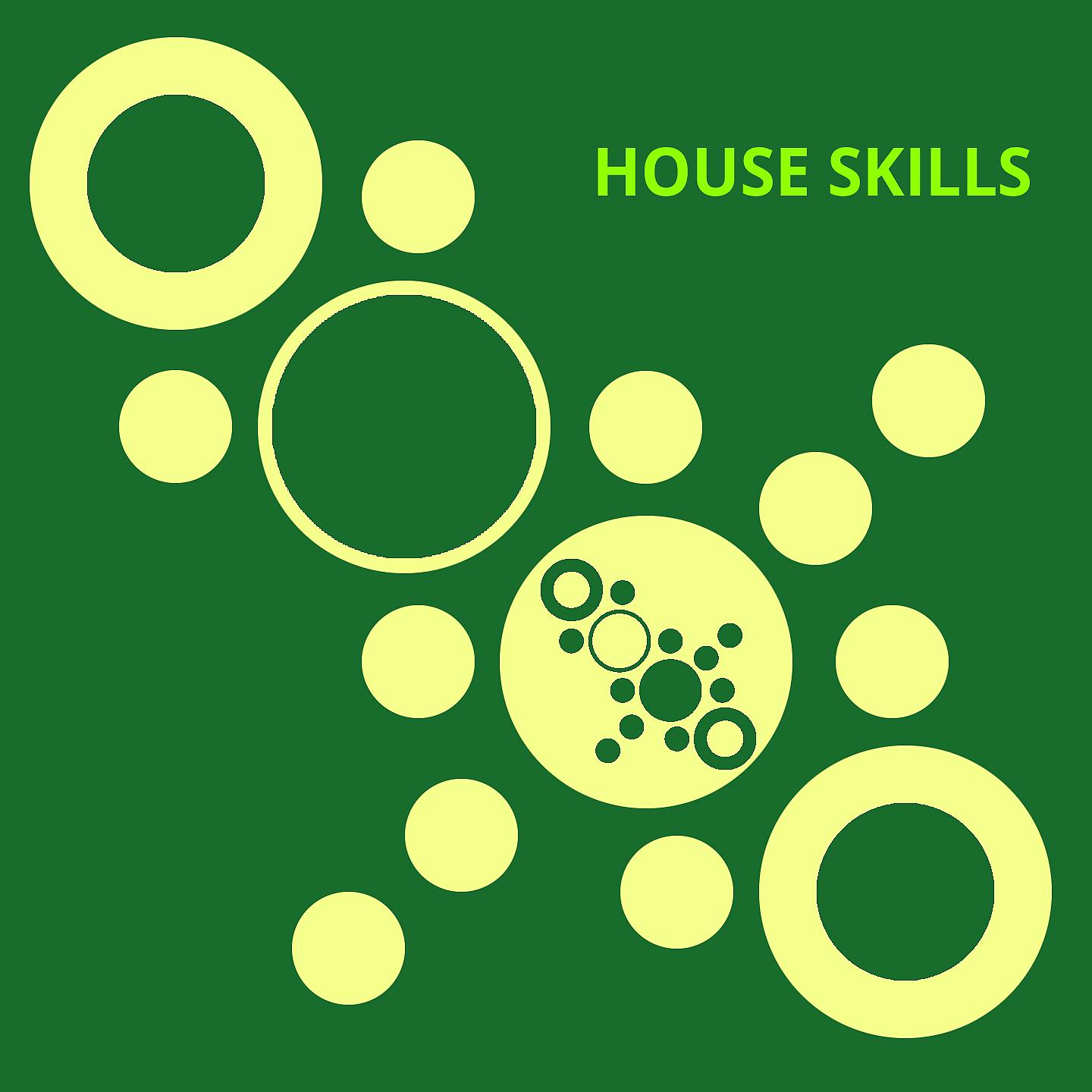 Постер альбома House Skills