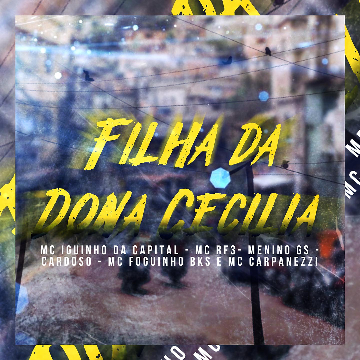 Постер альбома Filha da Dona Cecilia