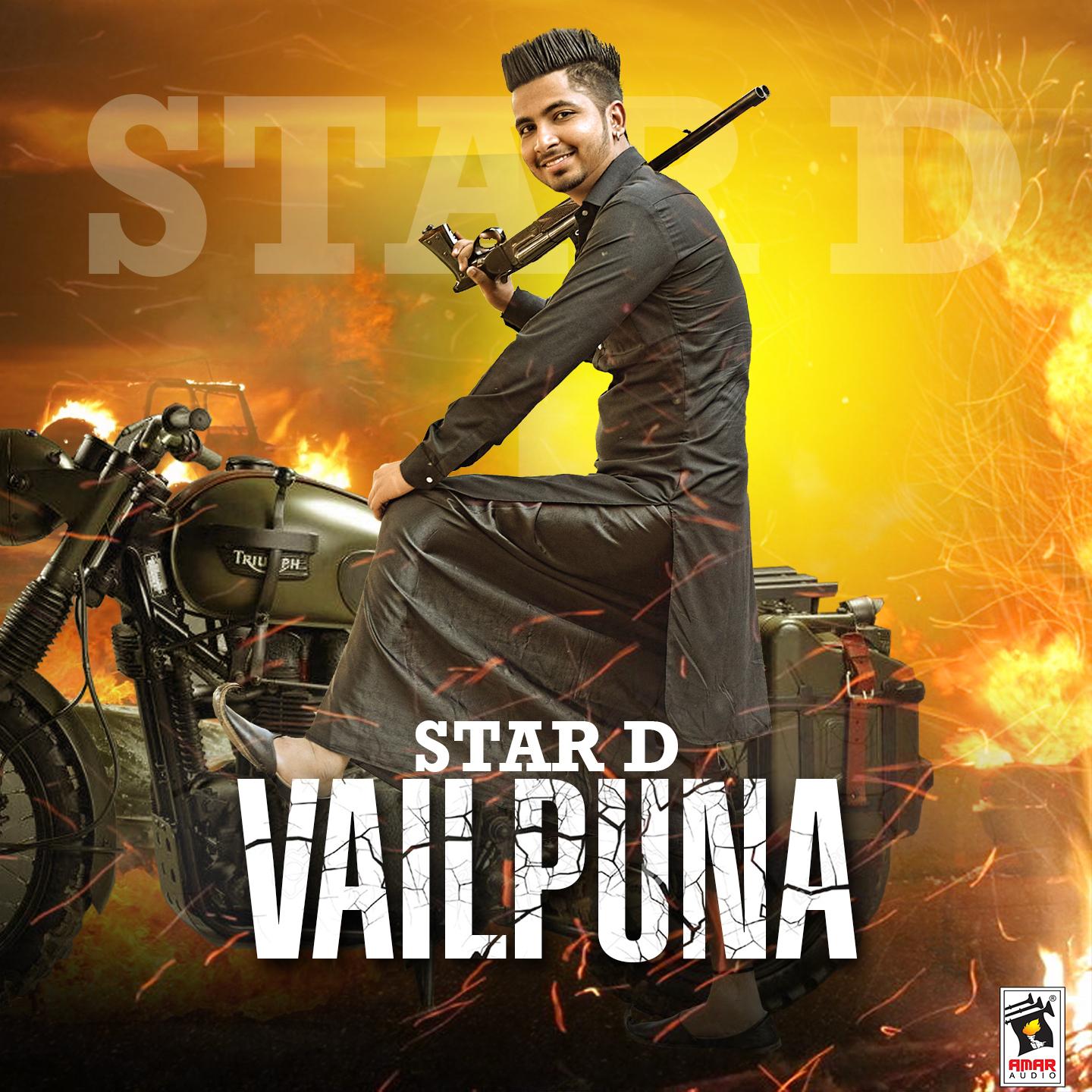 Постер альбома Vailpuna