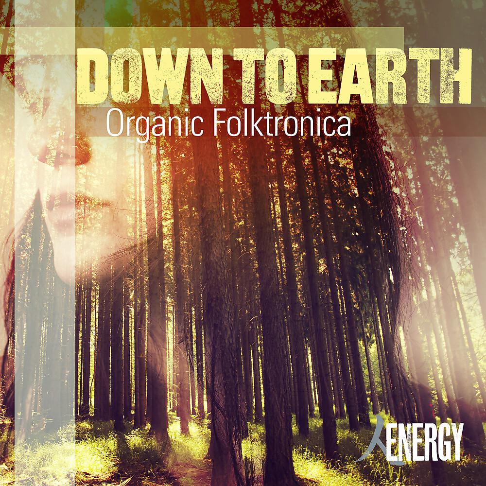 Постер альбома Down to Earth - Organic Folktronica