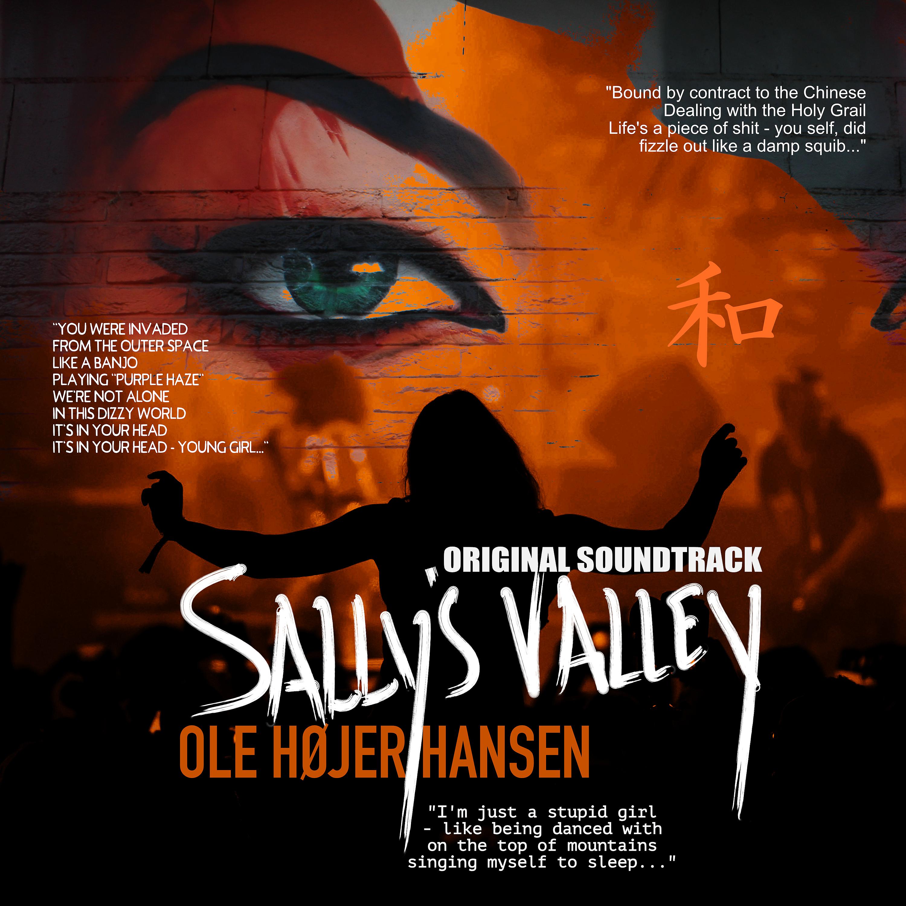 Постер альбома Sally's Valley Original Soundtrack