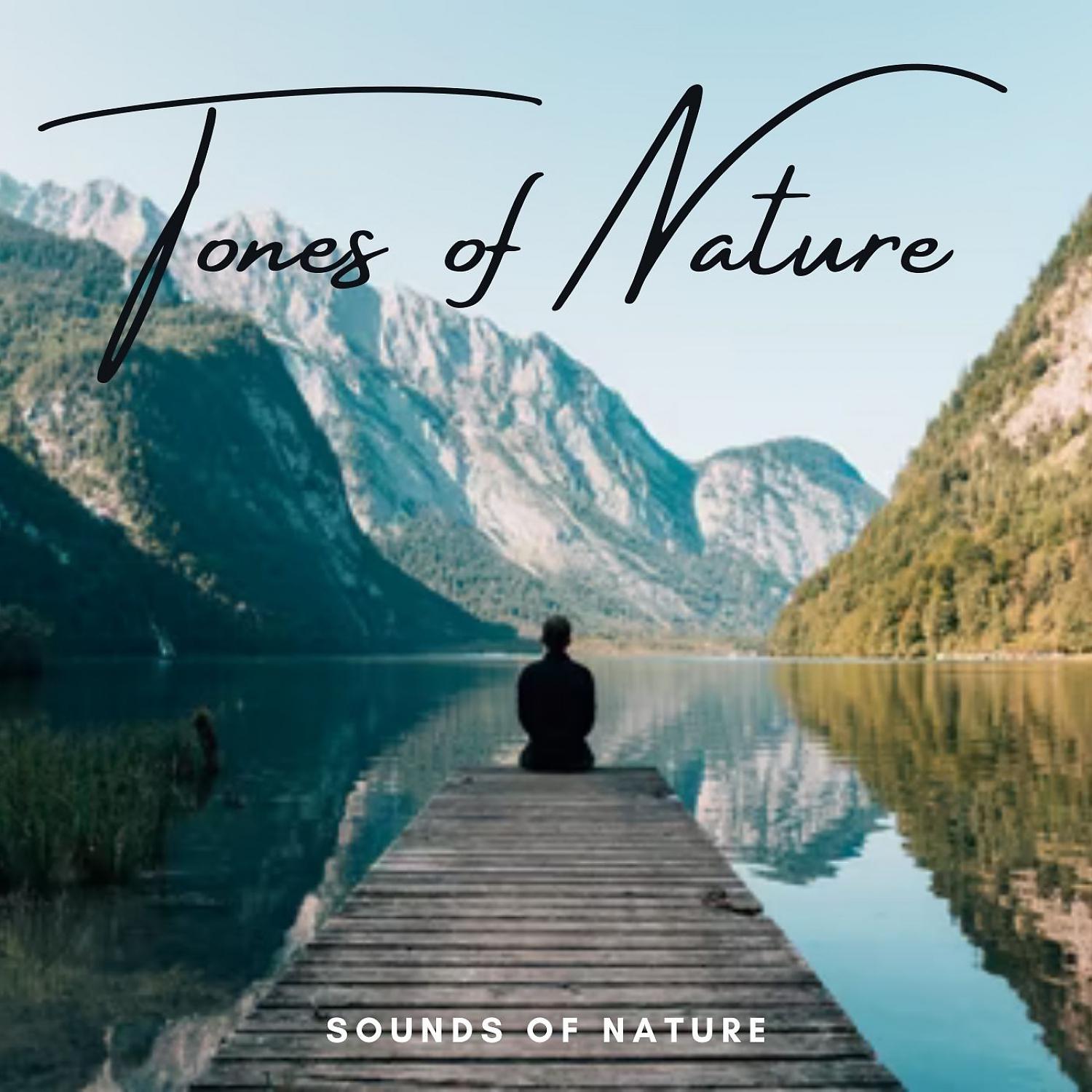 Постер альбома Sounds of Nature: Tones of Nature