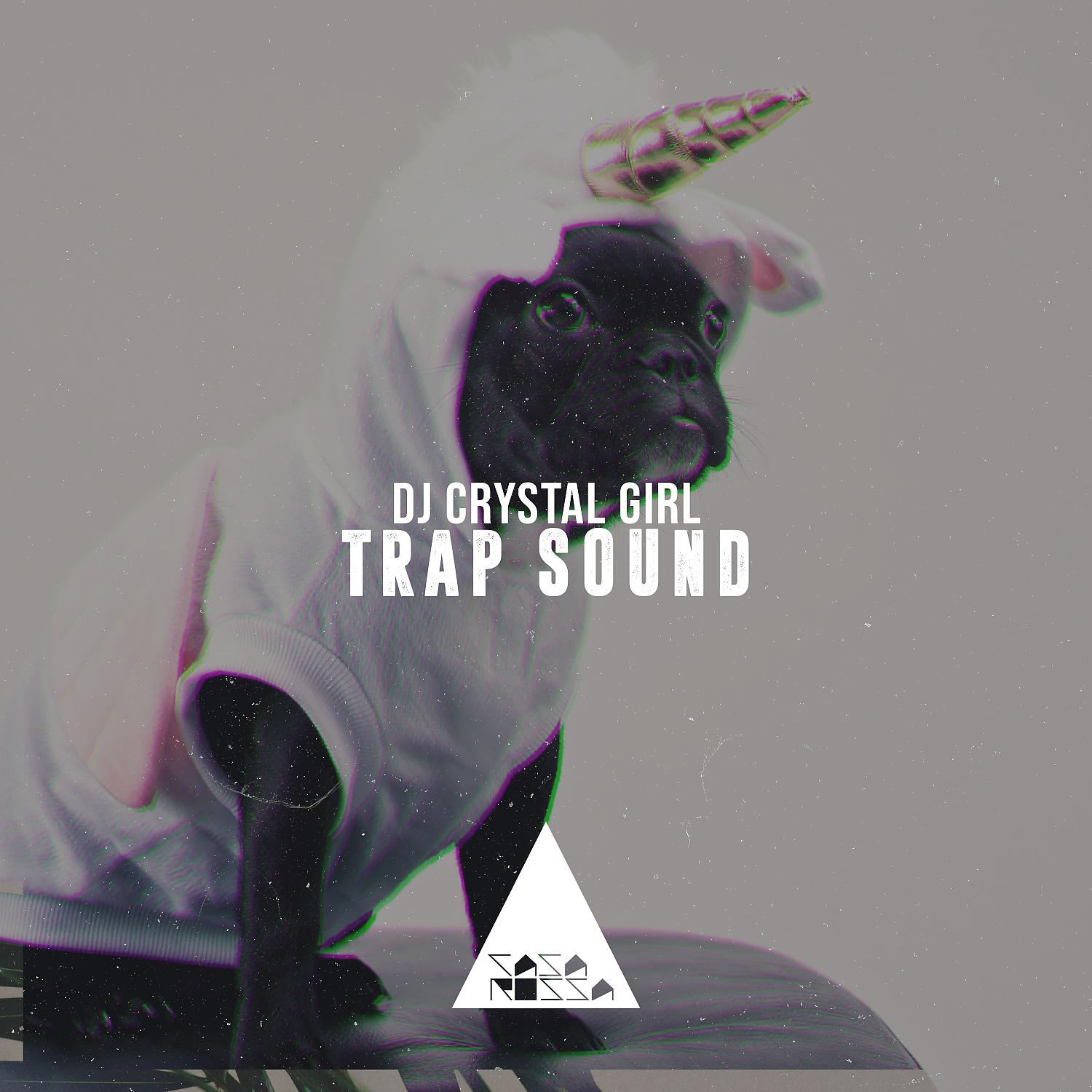 Постер альбома Trap Sound