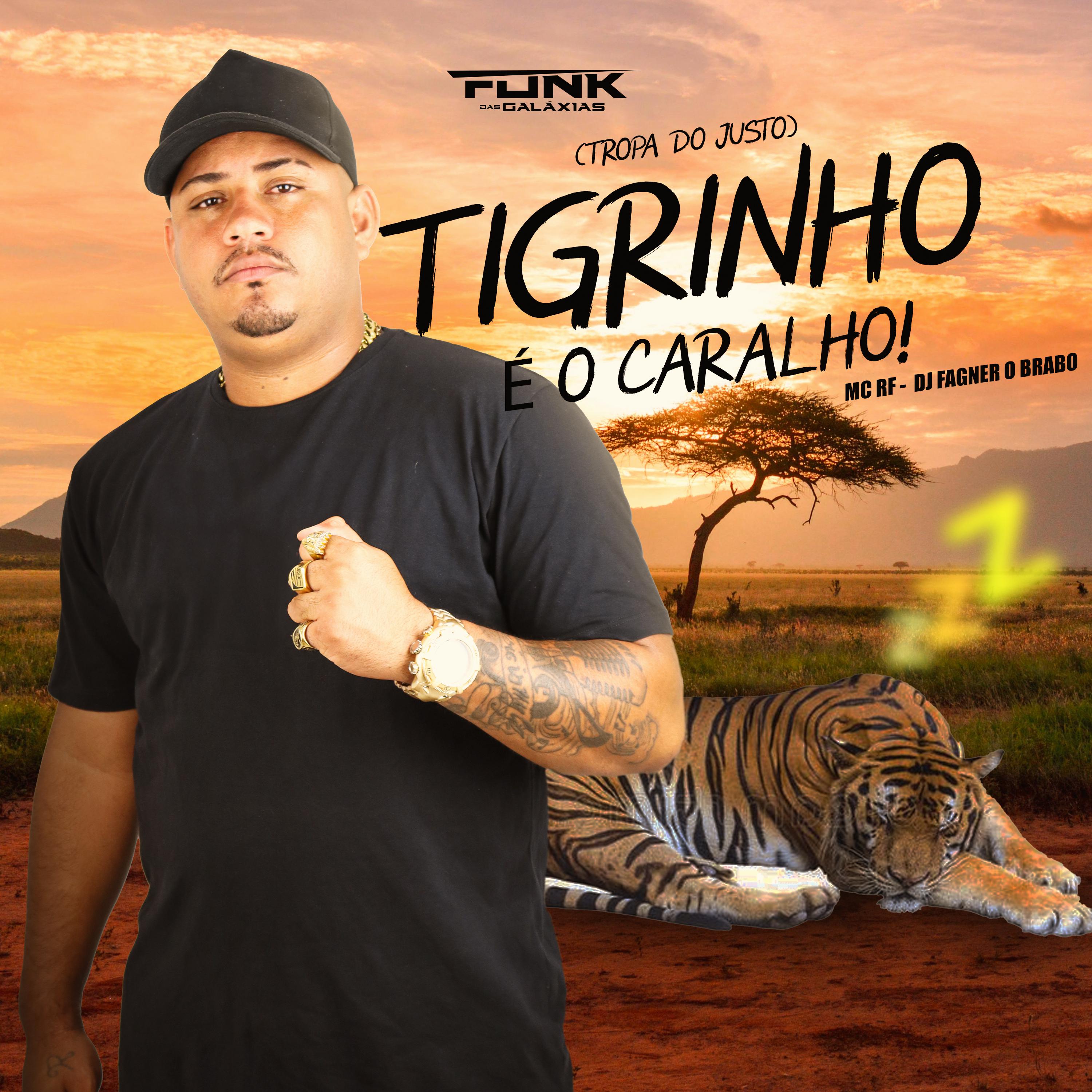 Постер альбома Tigrinho É o Caralho X Tropa do Justo