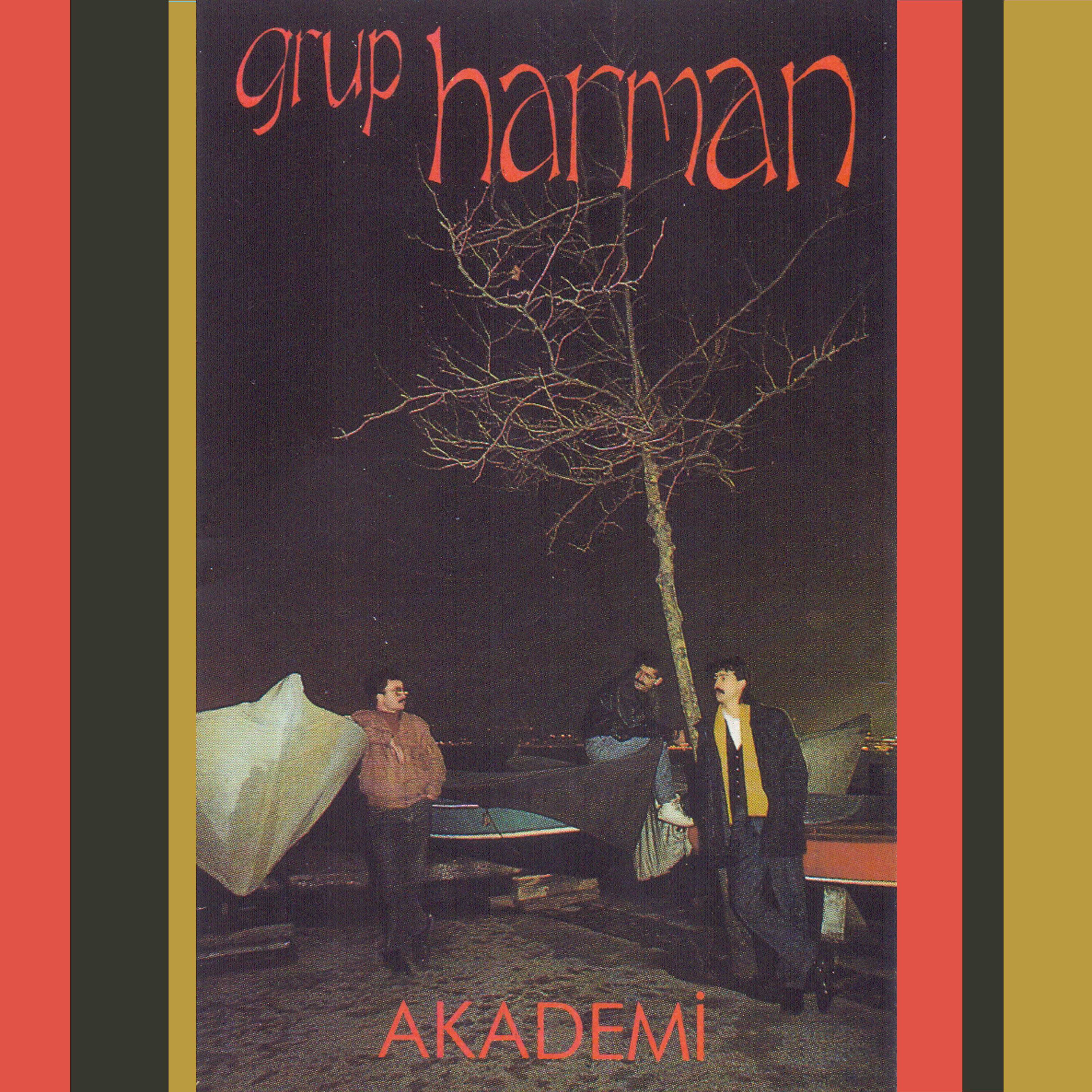 Постер альбома Akademi