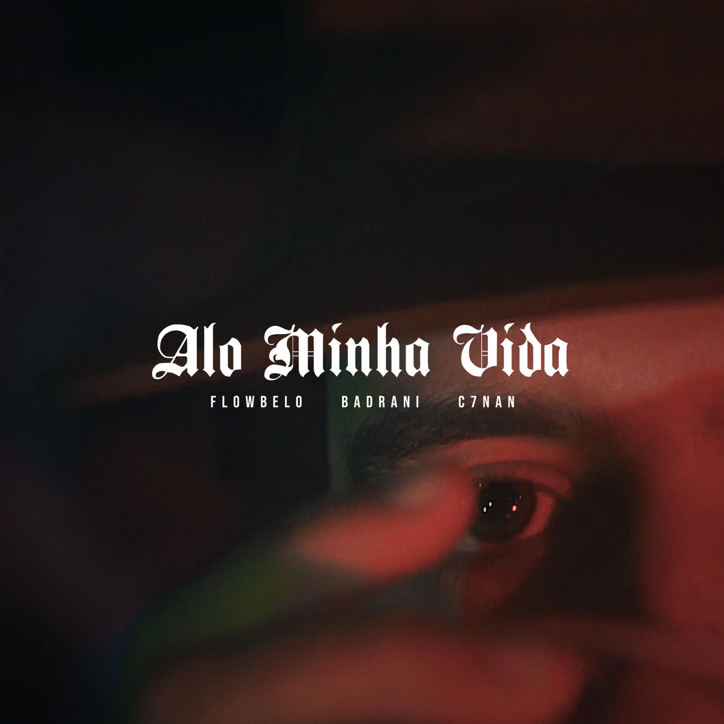 Постер альбома Alô Minha Vida