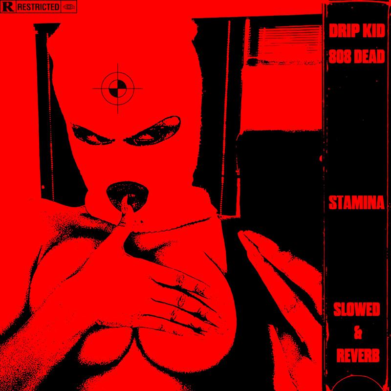 Постер альбома Stamina Slowed & Reverb