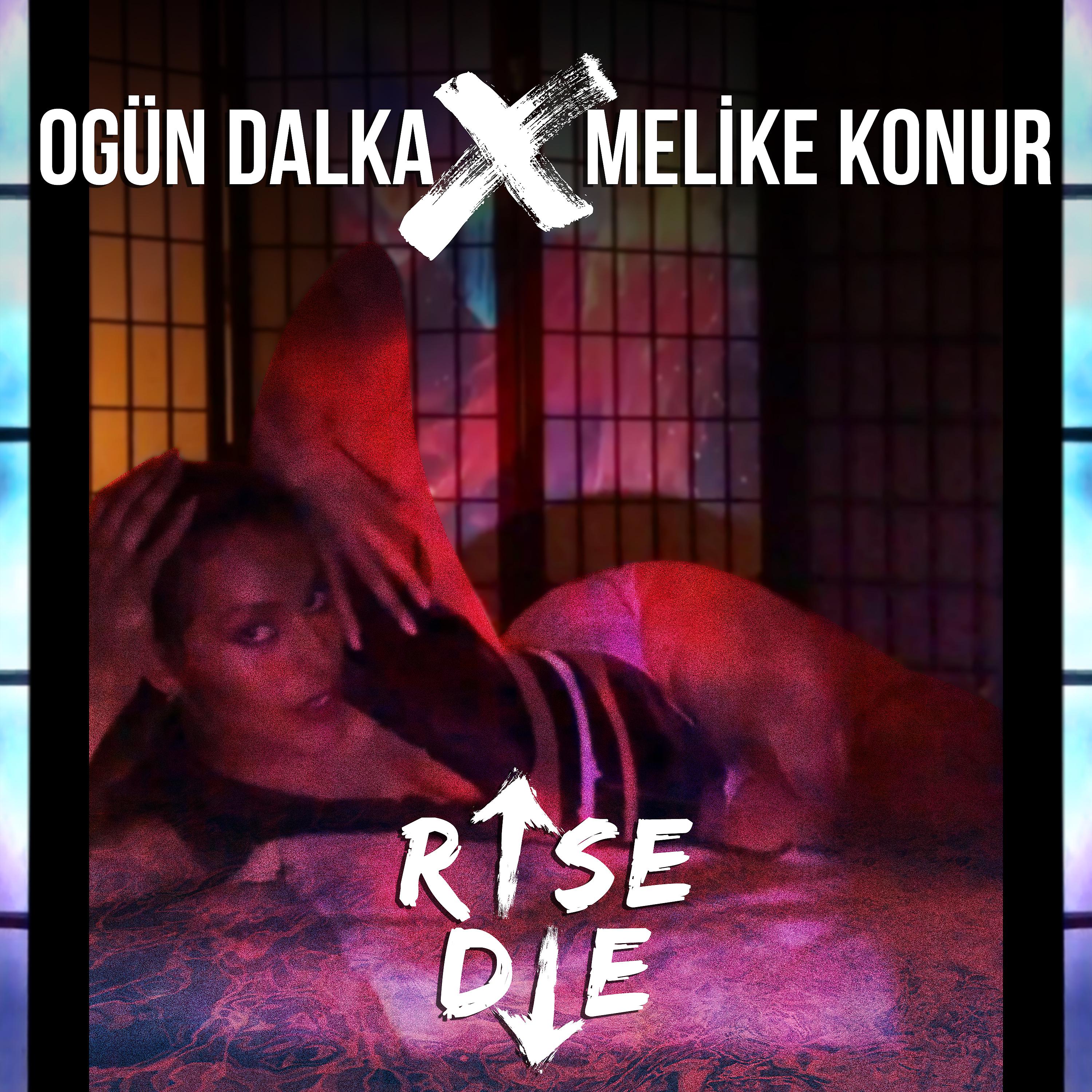 Постер альбома Rise Die