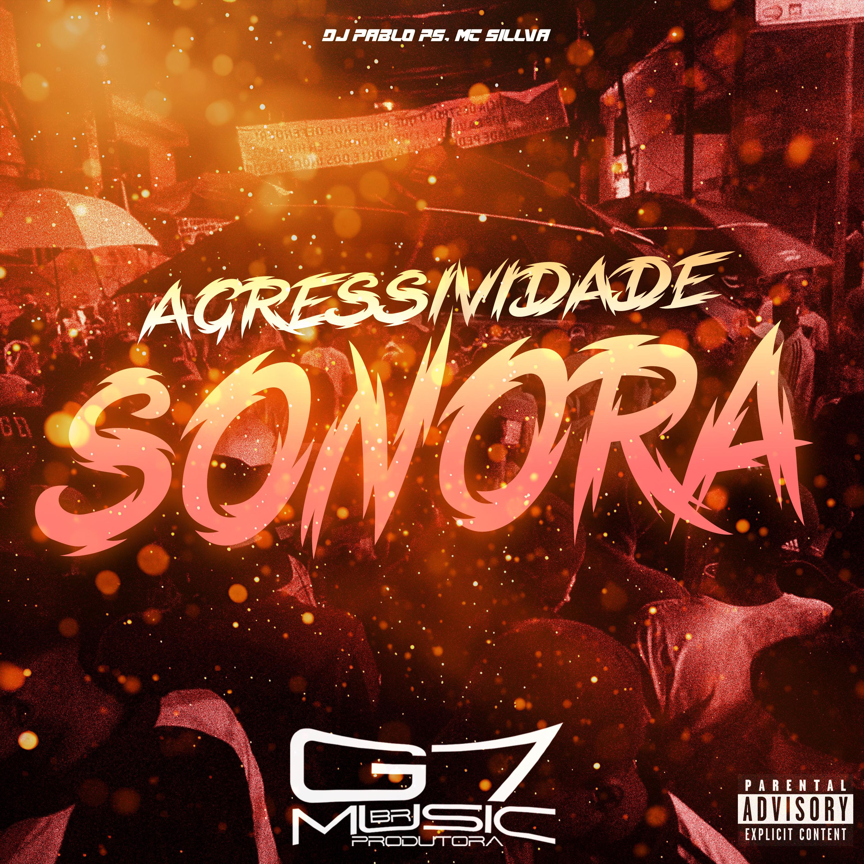 Постер альбома Agressividade Sonora