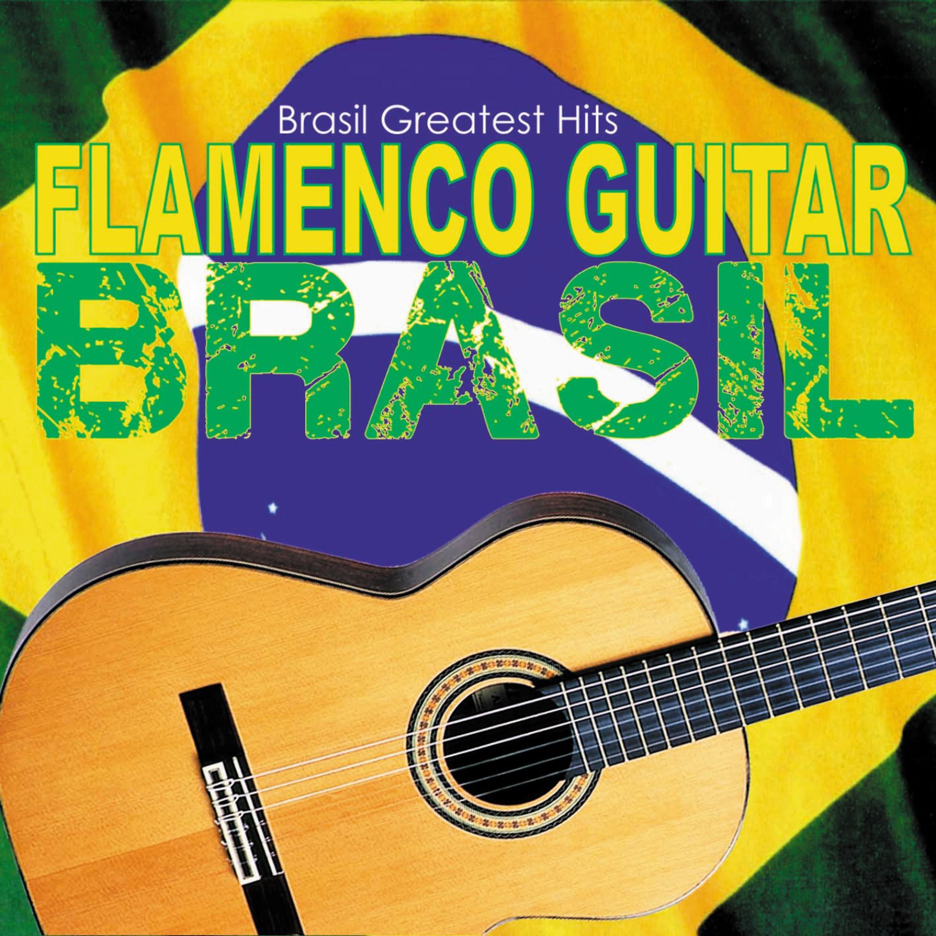 Постер альбома Flamenco Guitar Brasil