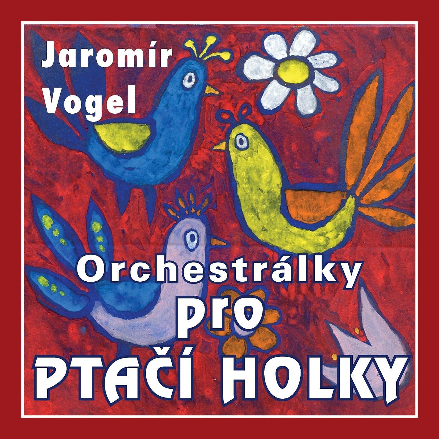 Постер альбома Orchestrálky Pro Ptačí Holky
