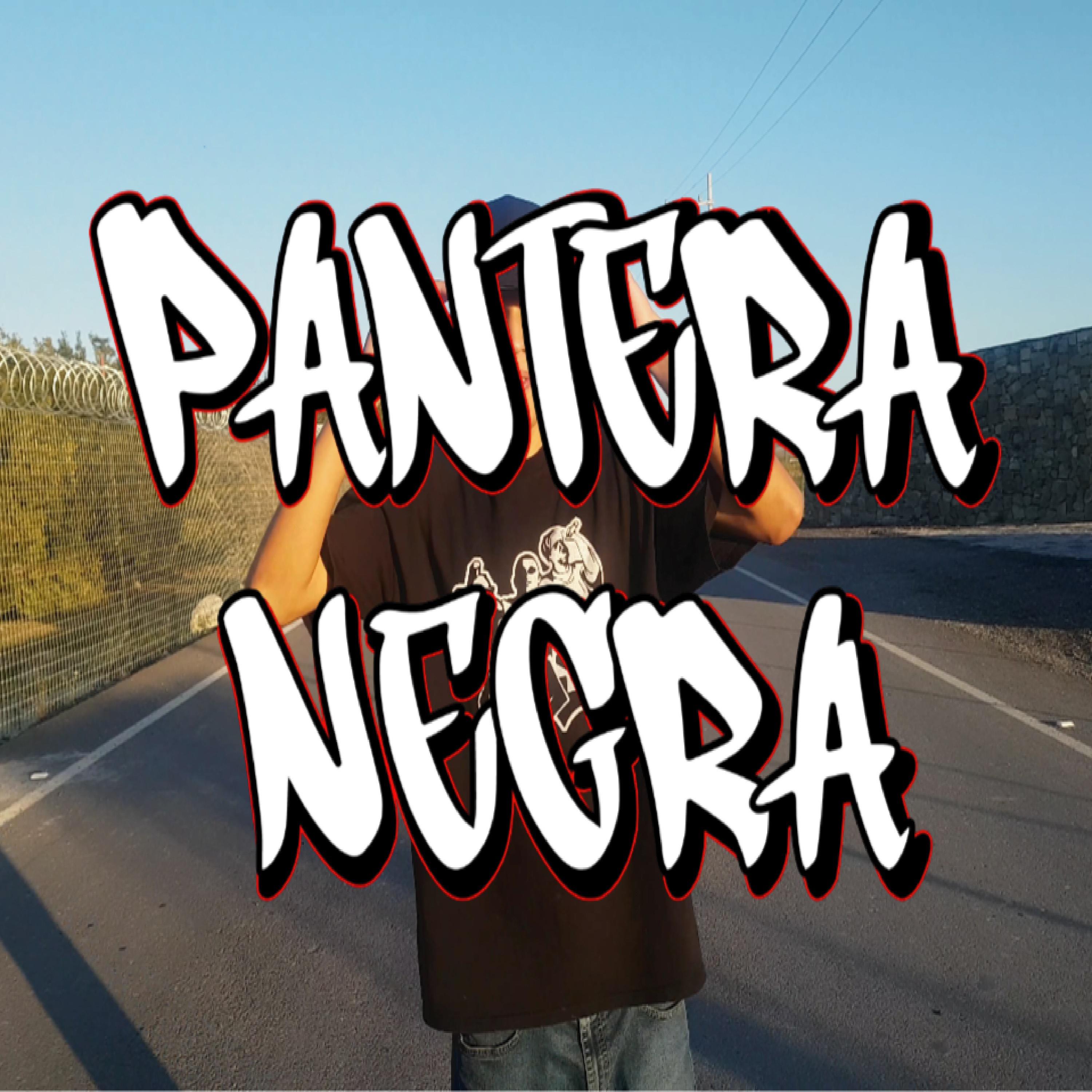 Постер альбома Pantera Negra