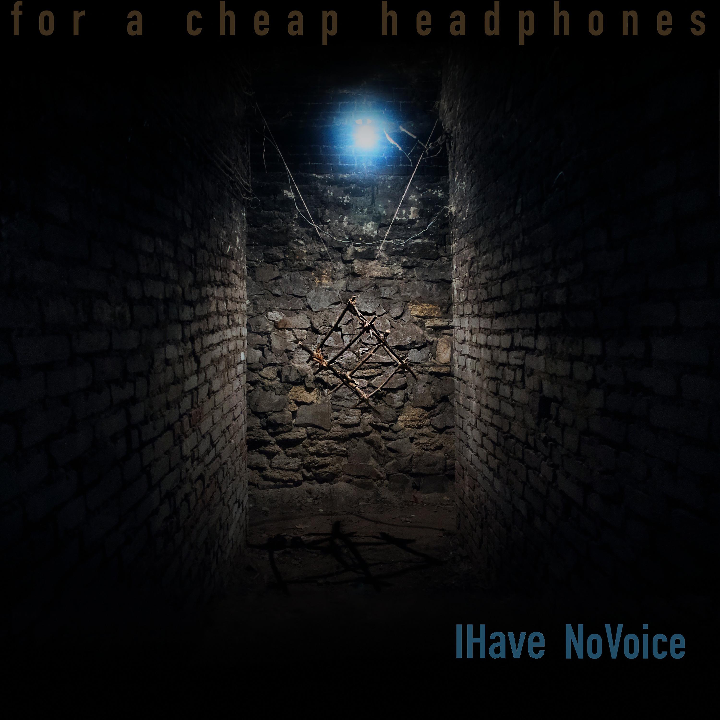 Постер альбома For a Cheap Headphones