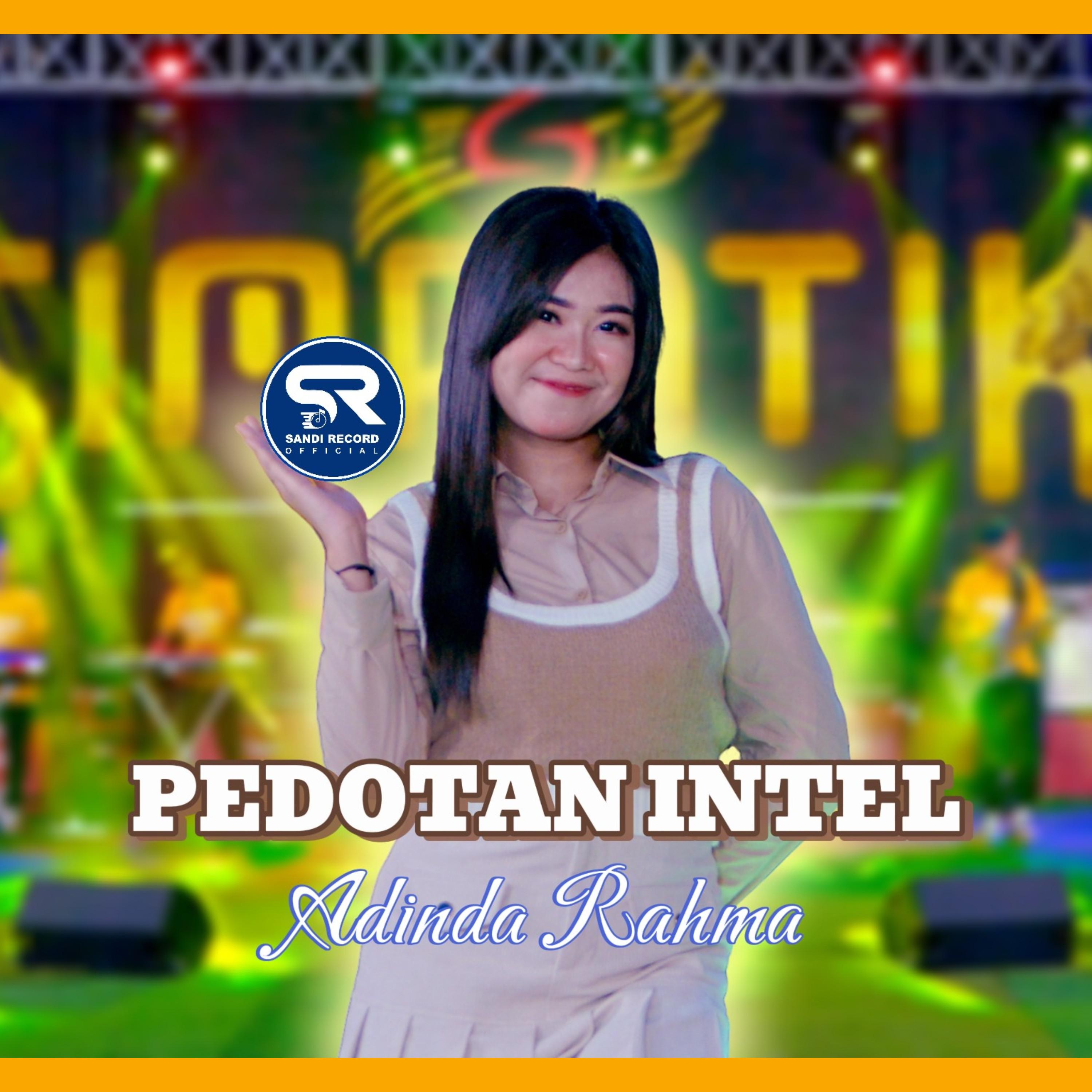 Постер альбома Pedotan Intel