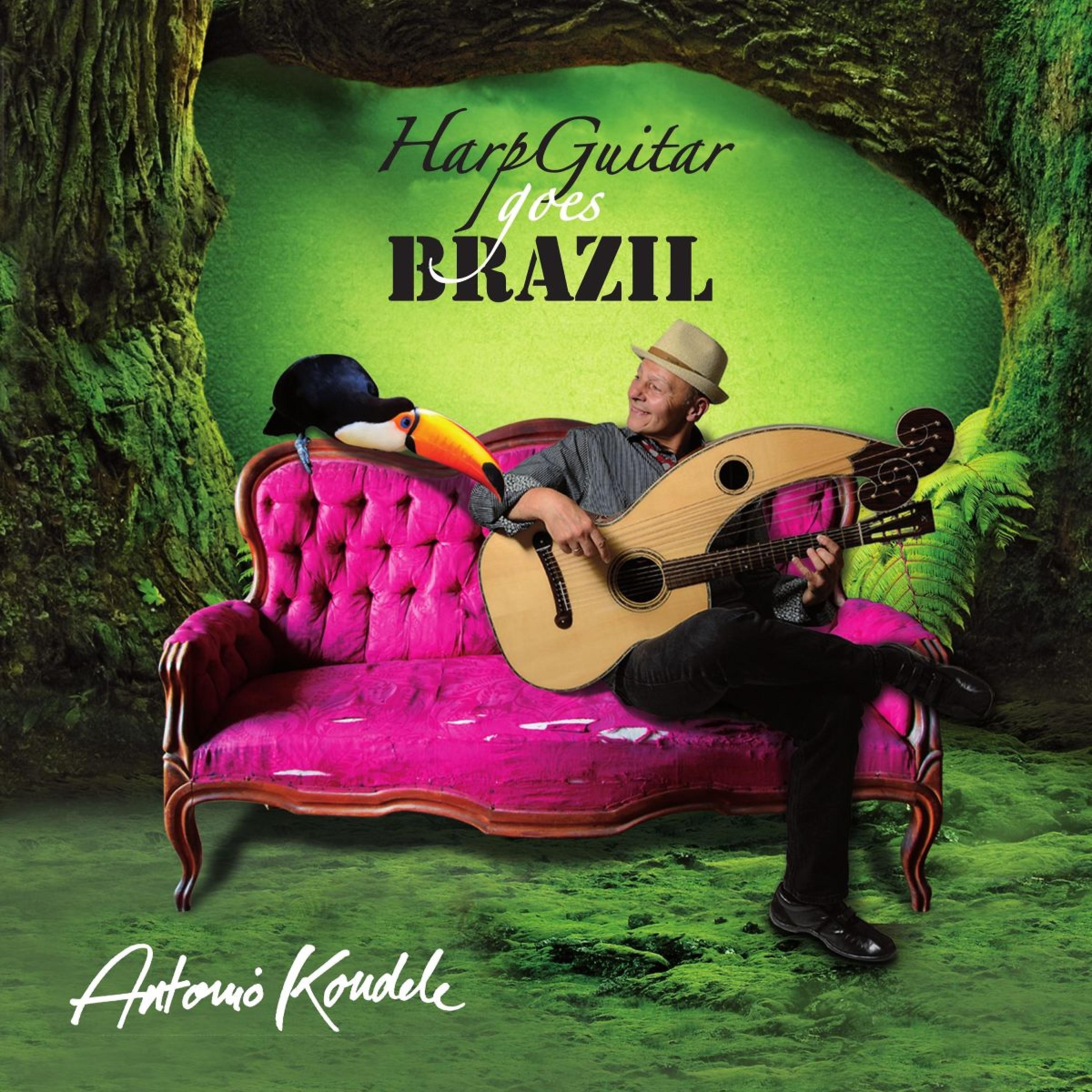 Постер альбома Harp Guitar Goes Brazil