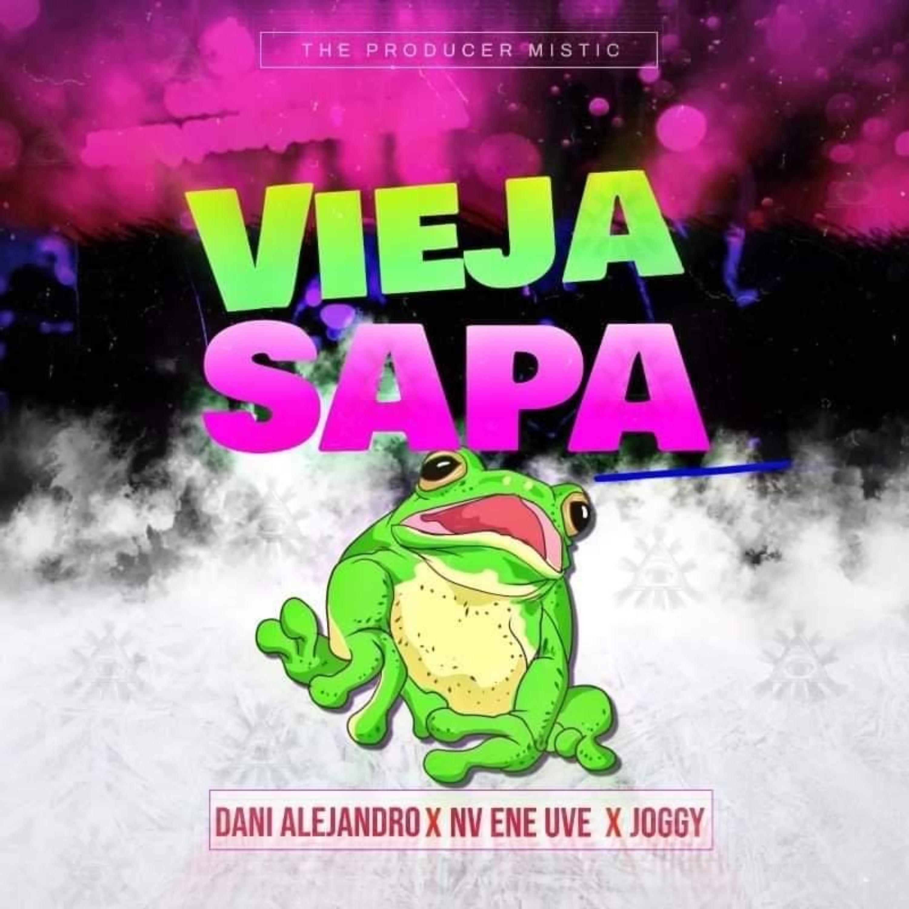 Постер альбома Vieja Sapa