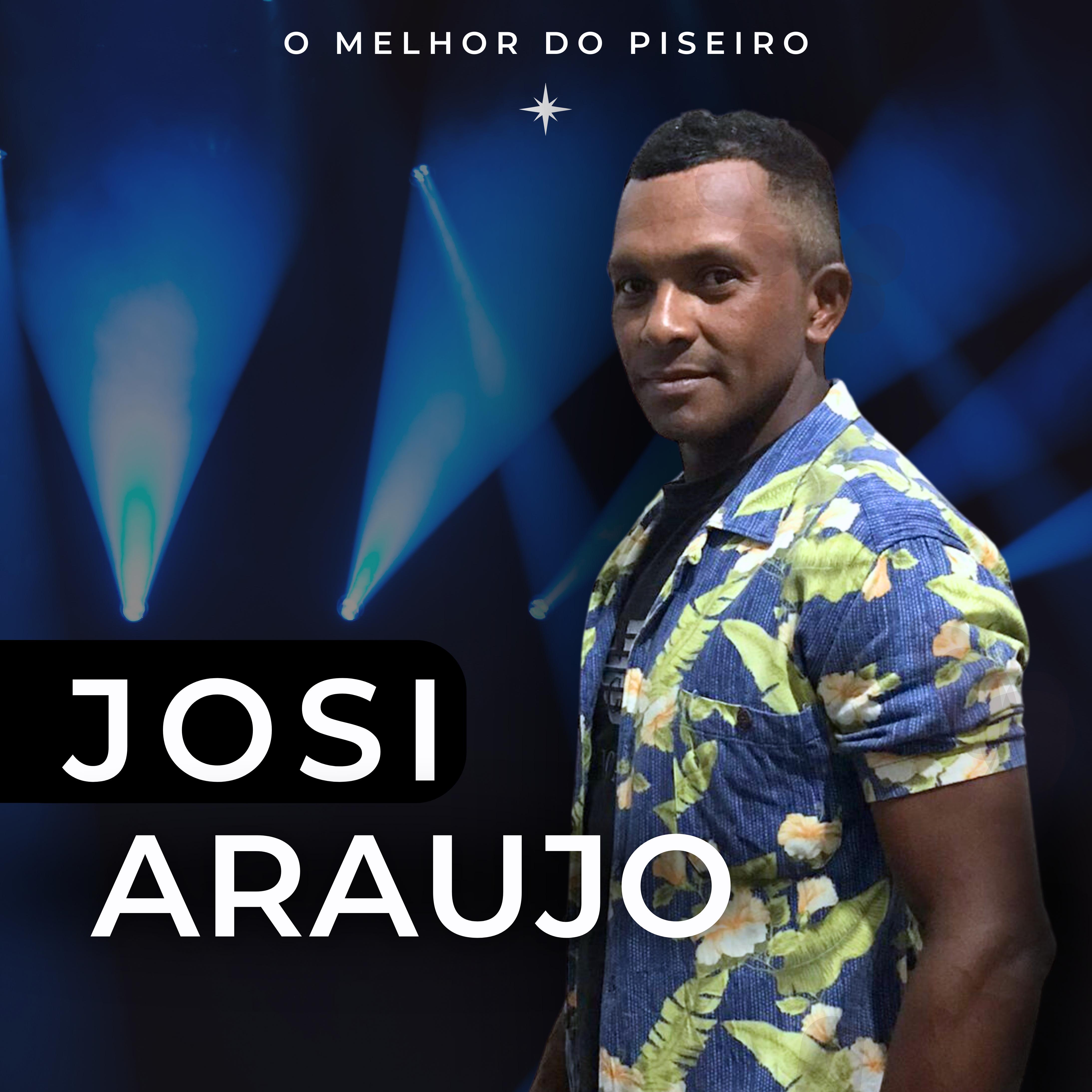 Постер альбома O Melhor do Piseiro