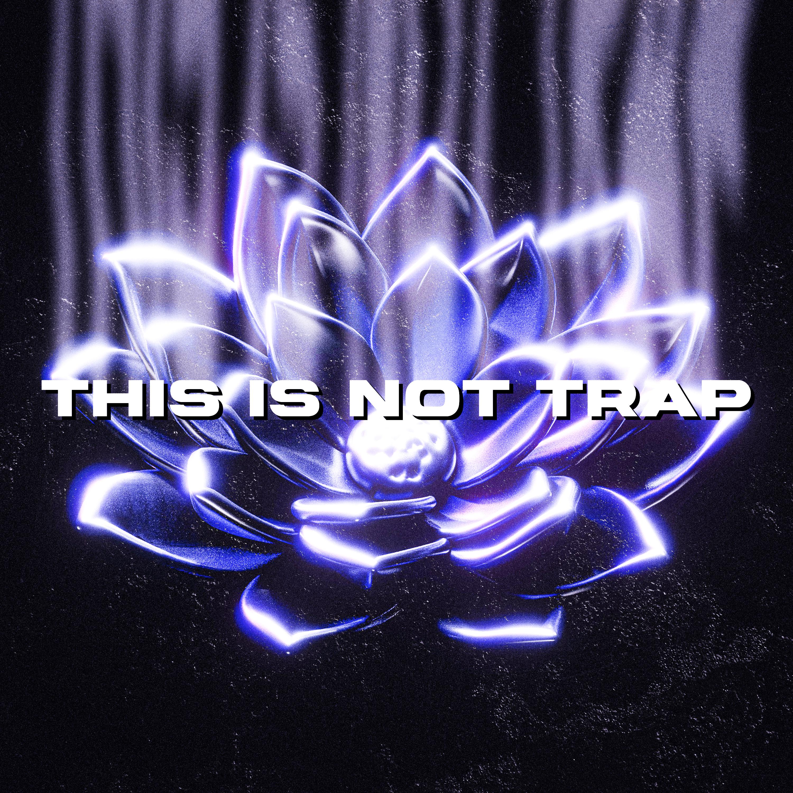 Постер альбома This Is Not Trap
