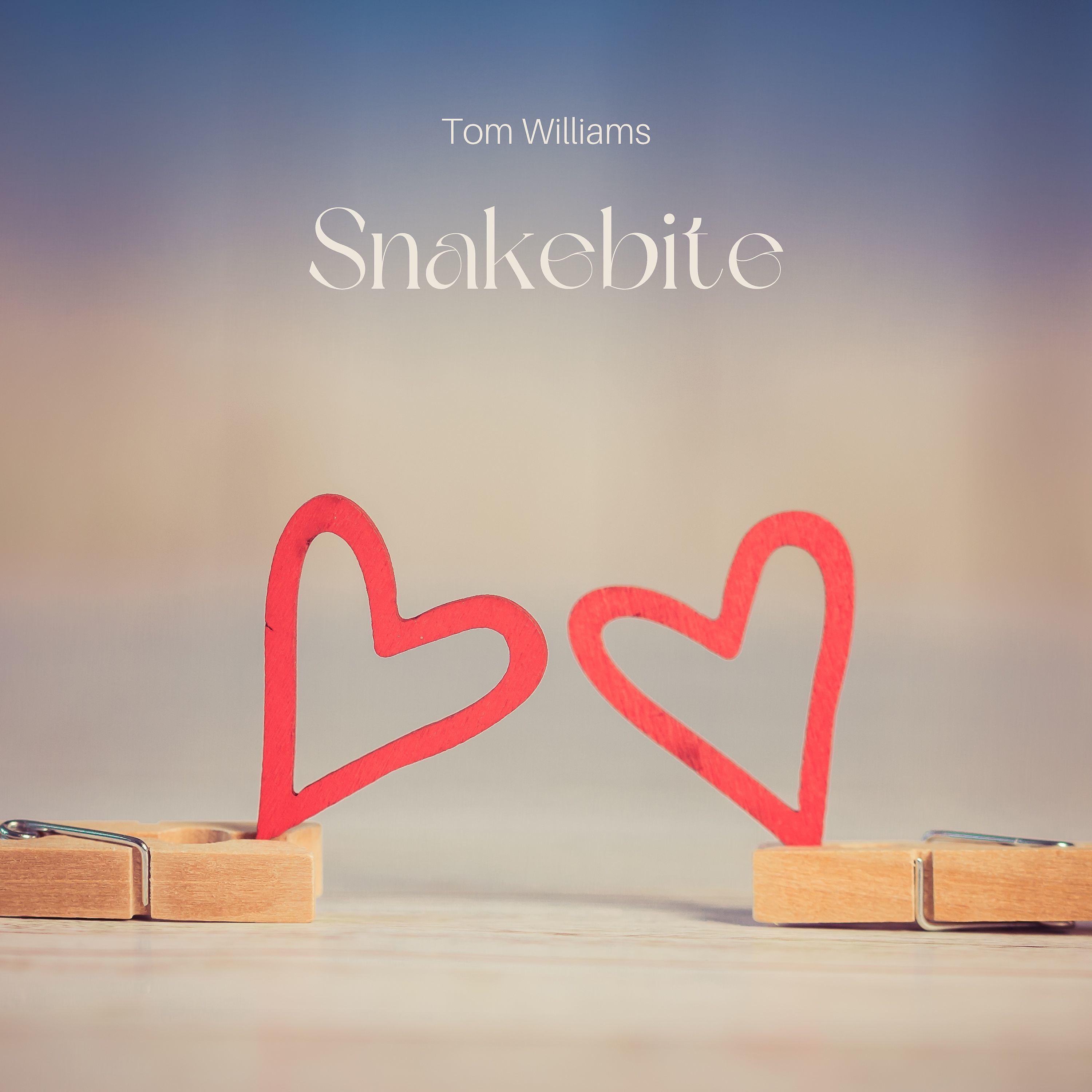 Постер альбома Snakebite