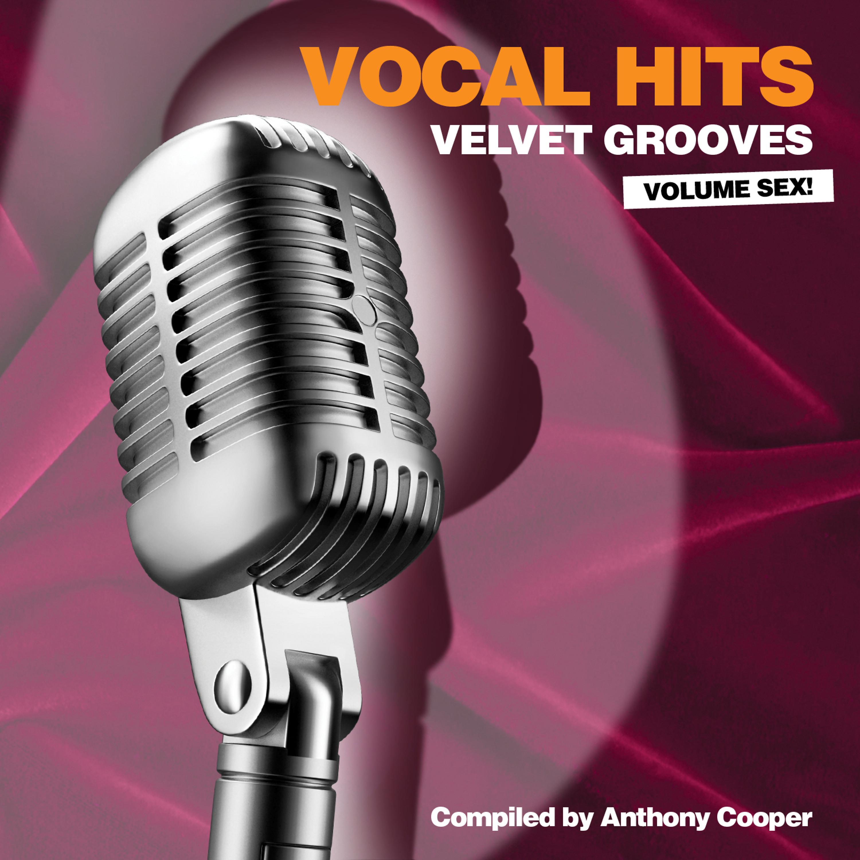 Постер альбома Vocal Hits Velvet Grooves Volume Sex!