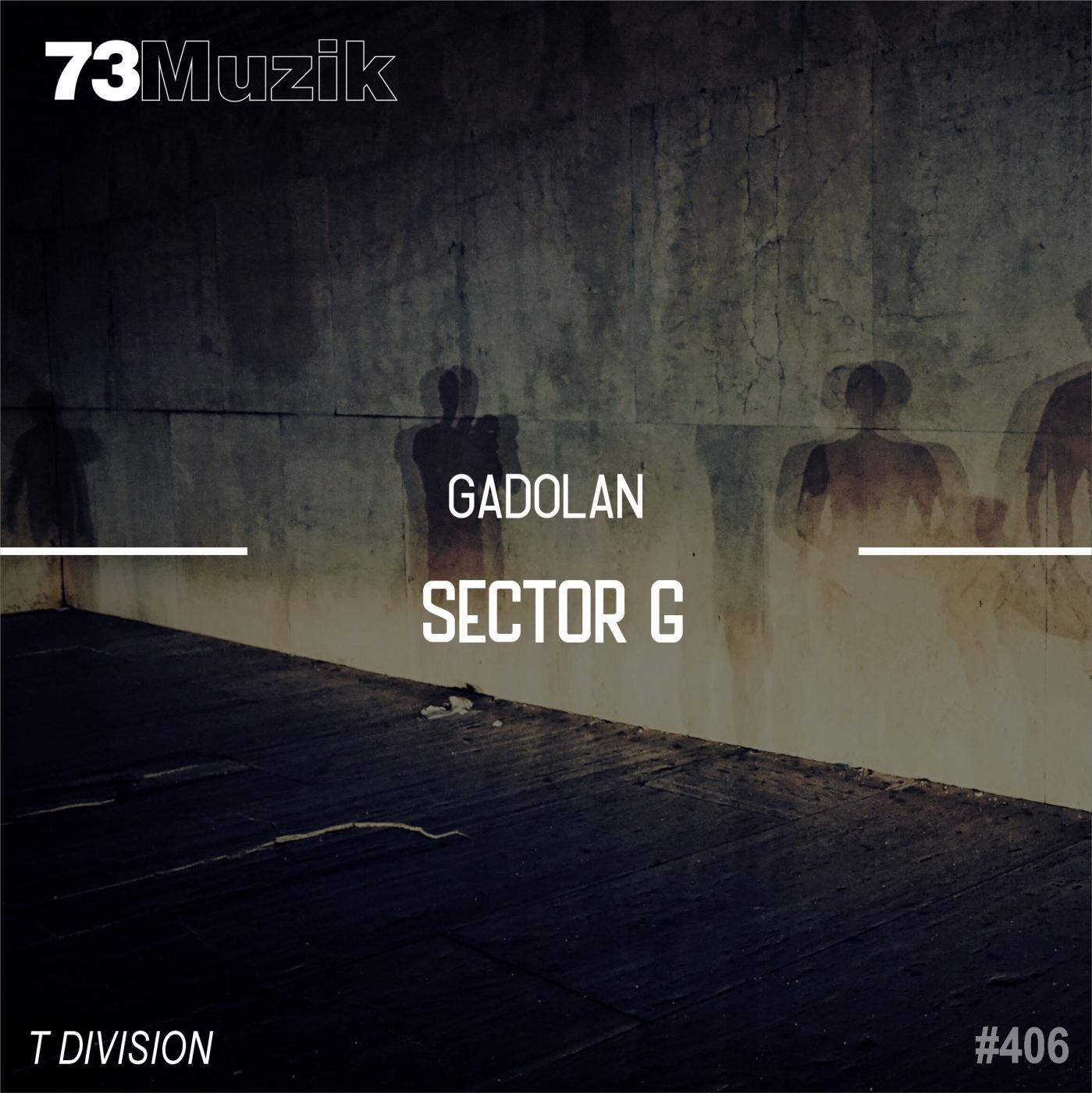 Постер альбома Sector G