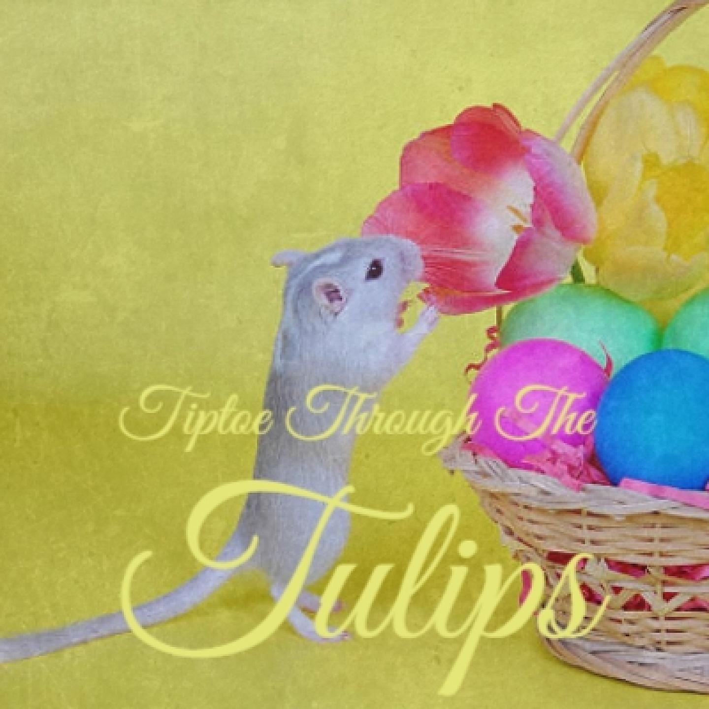 Постер альбома Tiptoe Through the Tulips
