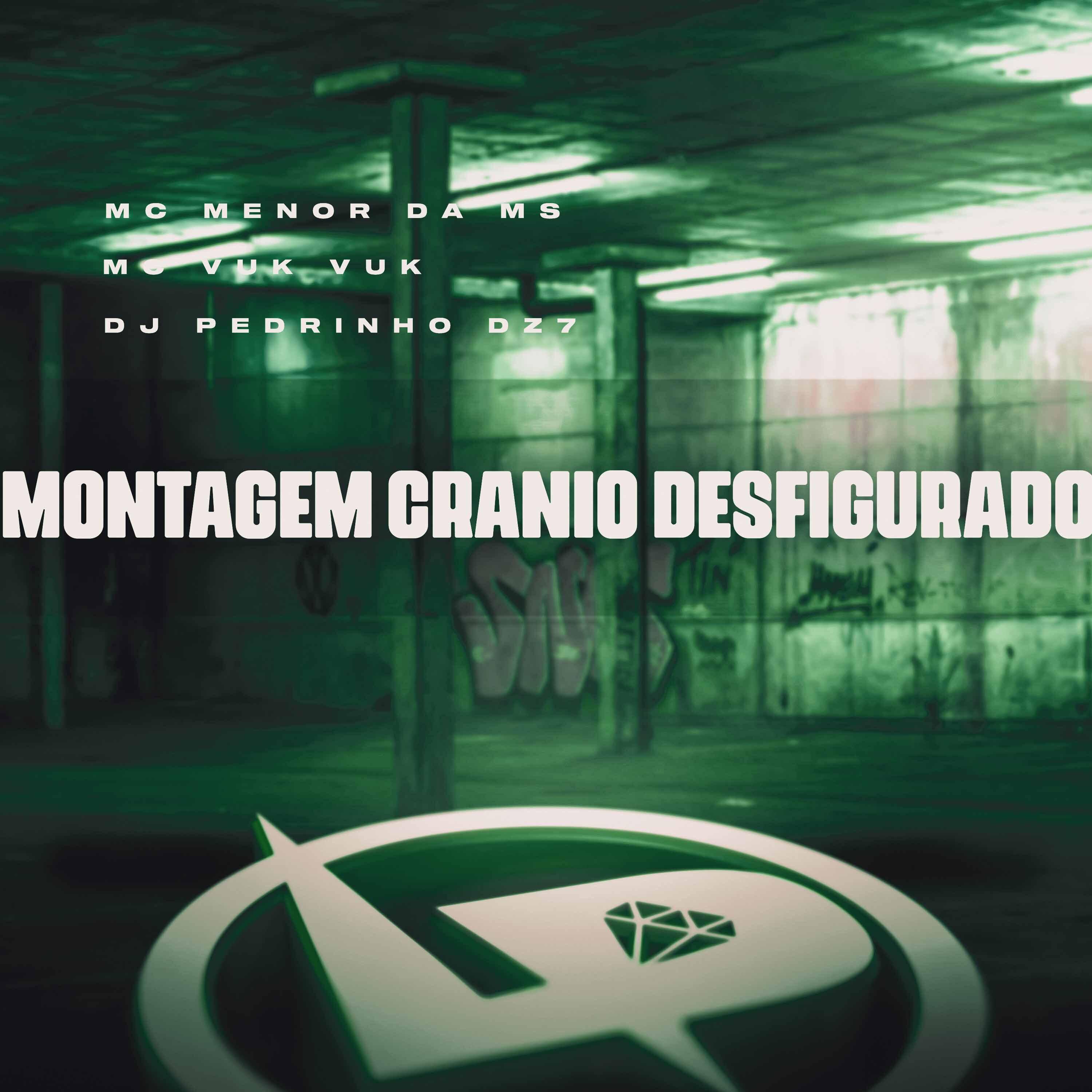 Постер альбома Montagem Crânio Desfigurado