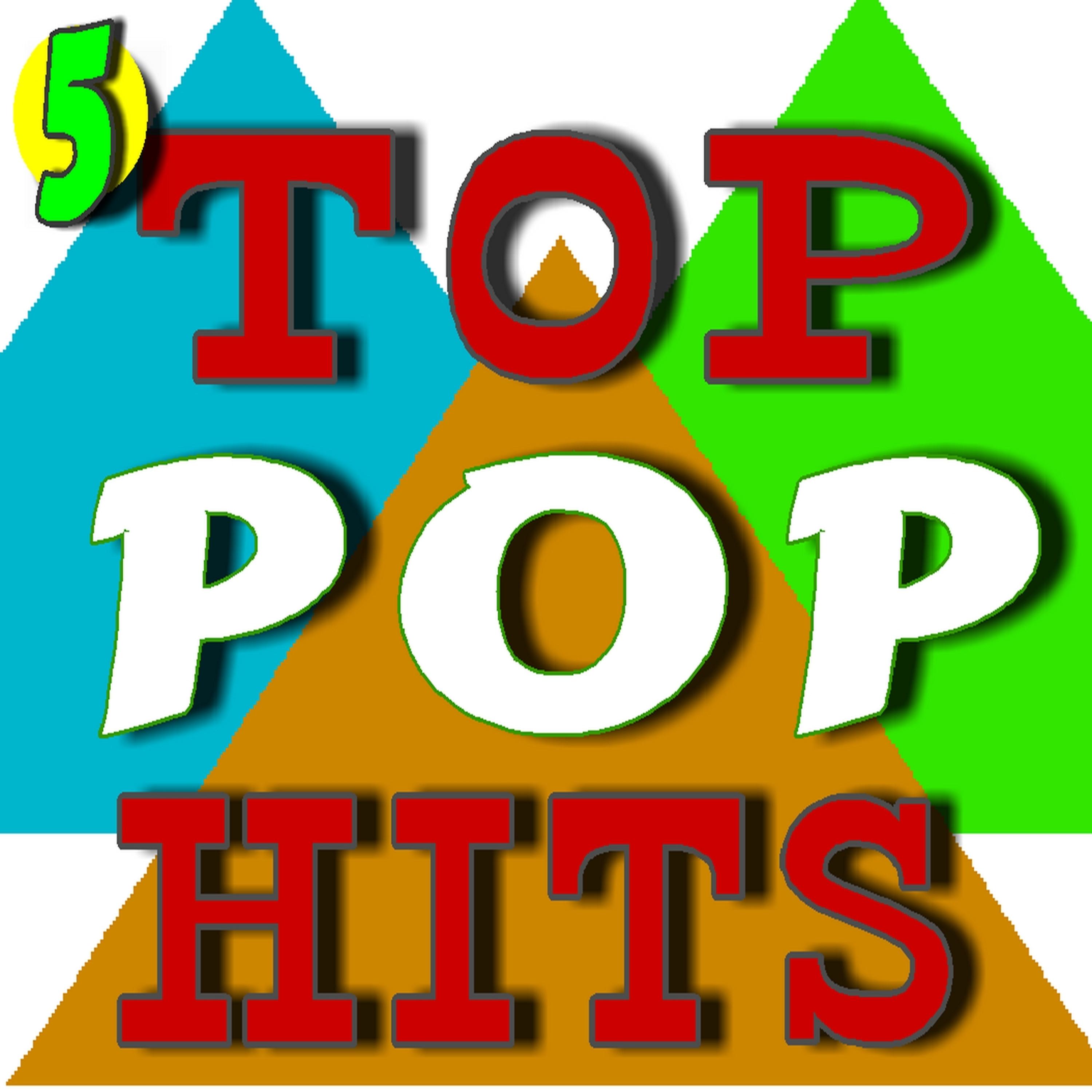 Постер альбома Top Pop Hits, Vol 5 (Instrumental)