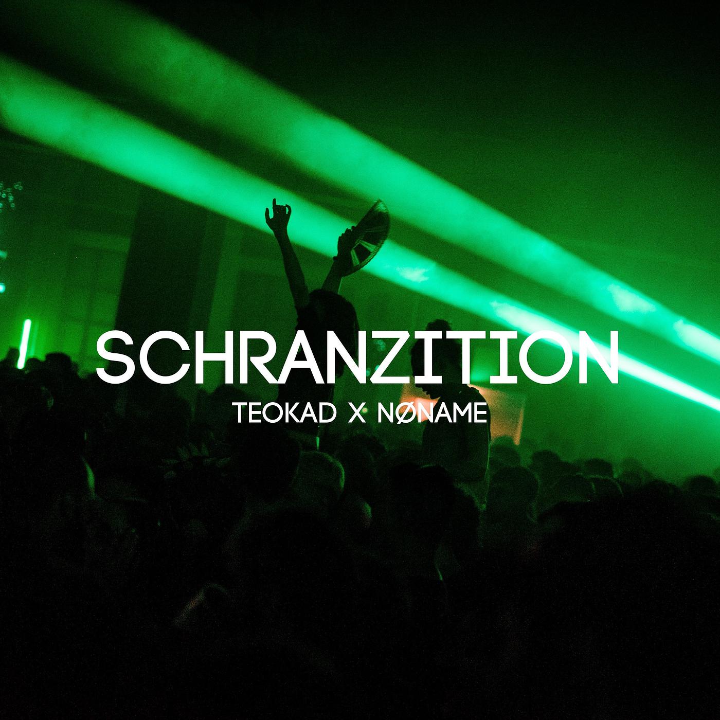 Постер альбома Schranzition