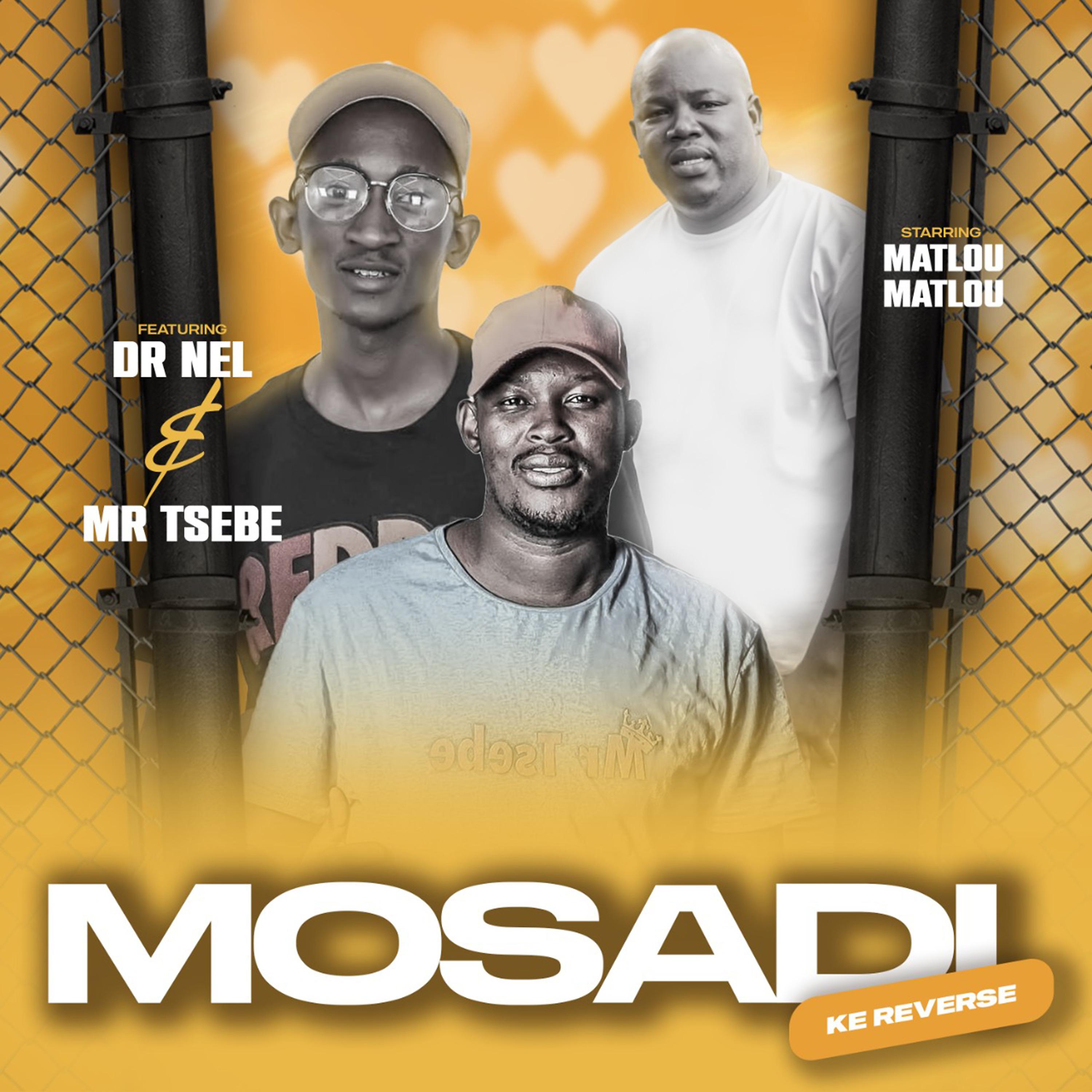 Постер альбома Mosadi Ke Reverse