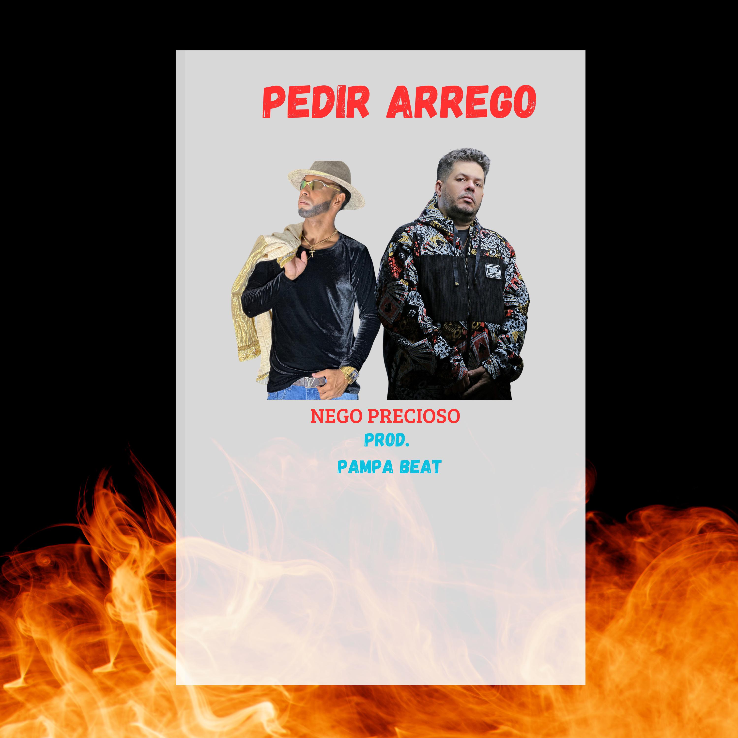 Постер альбома Pedir Arrego