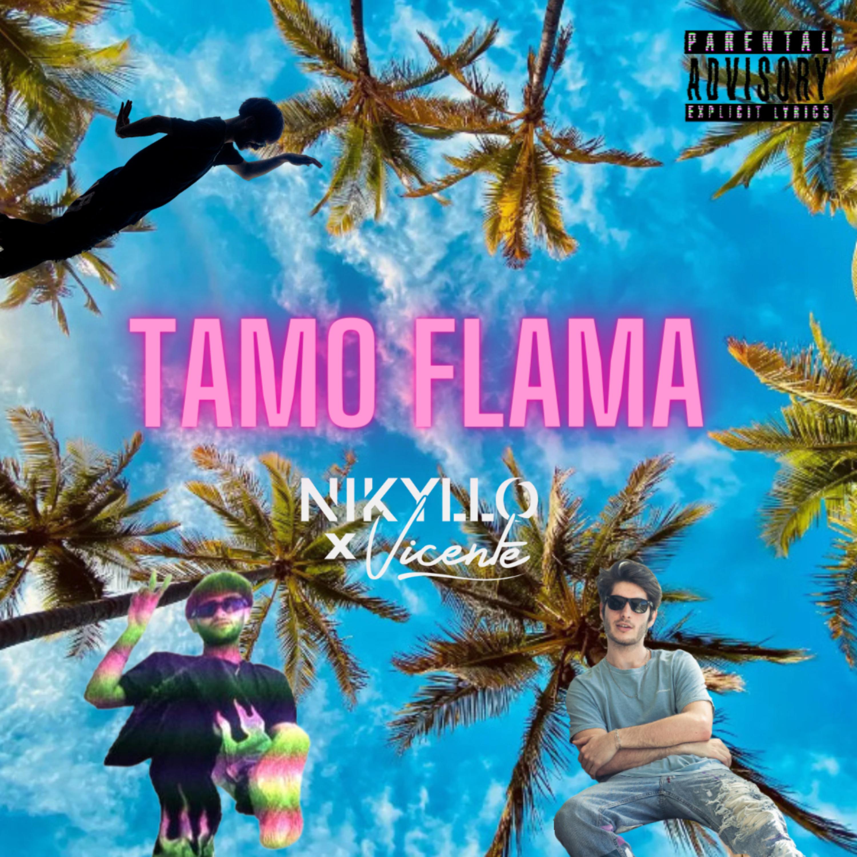 Постер альбома Tamo Flama