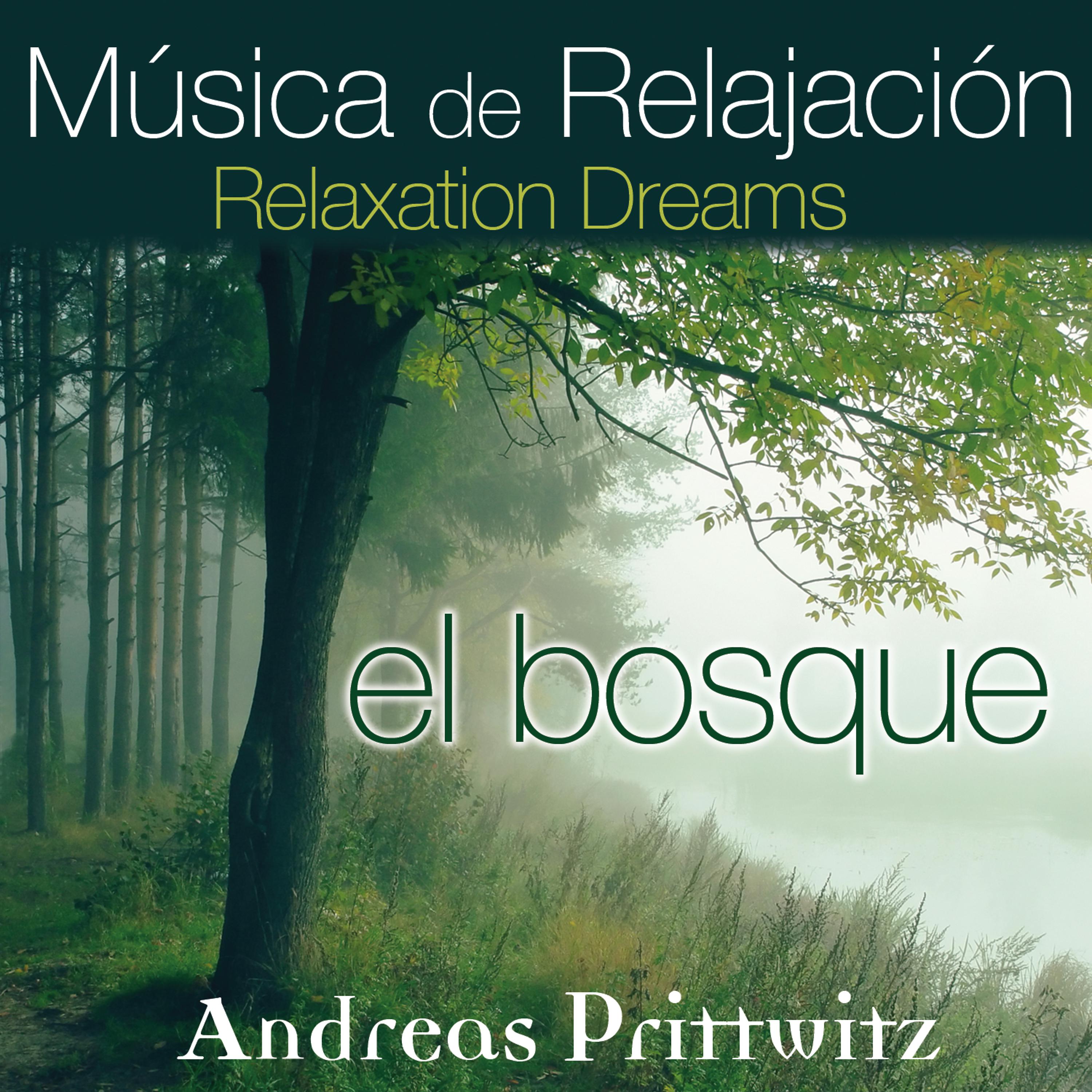Постер альбома Música de Relajación, Relaxation Dreams: El Bosque