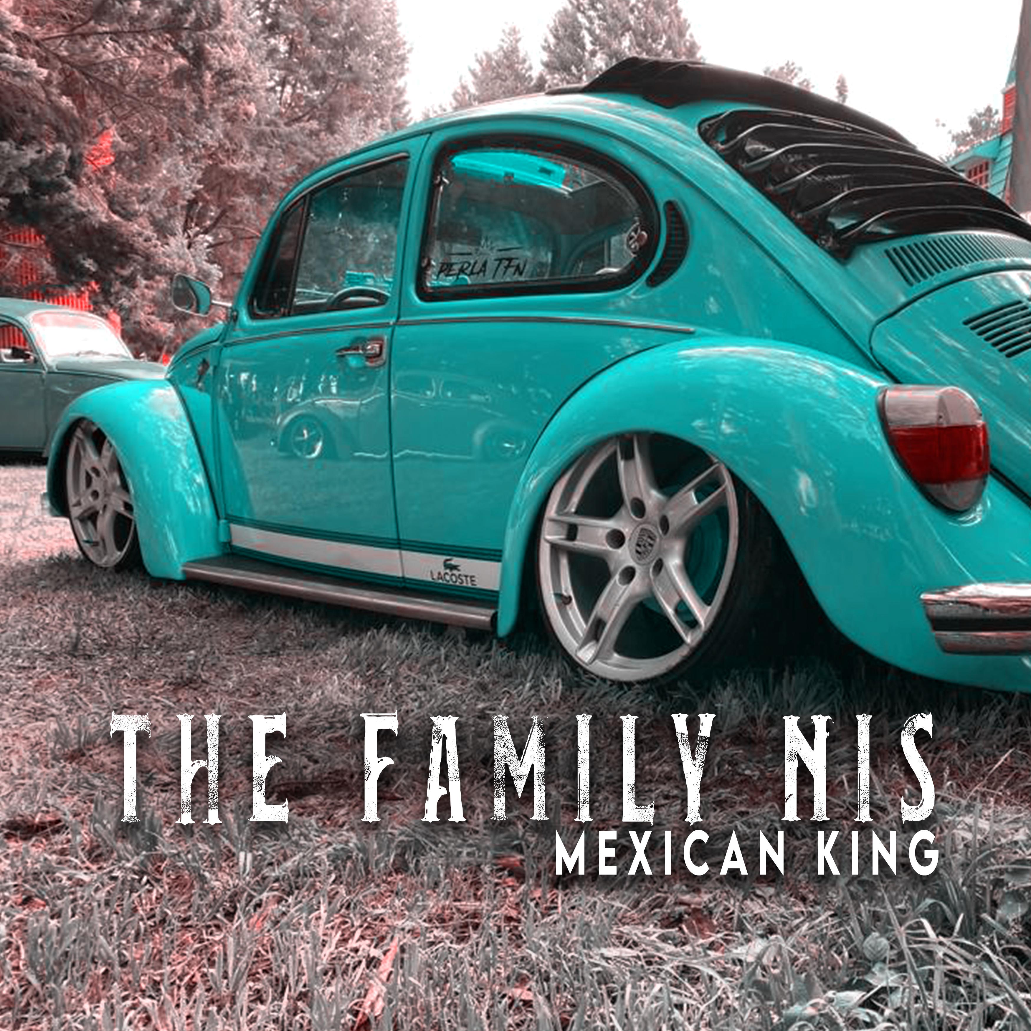 Постер альбома The Family Nis