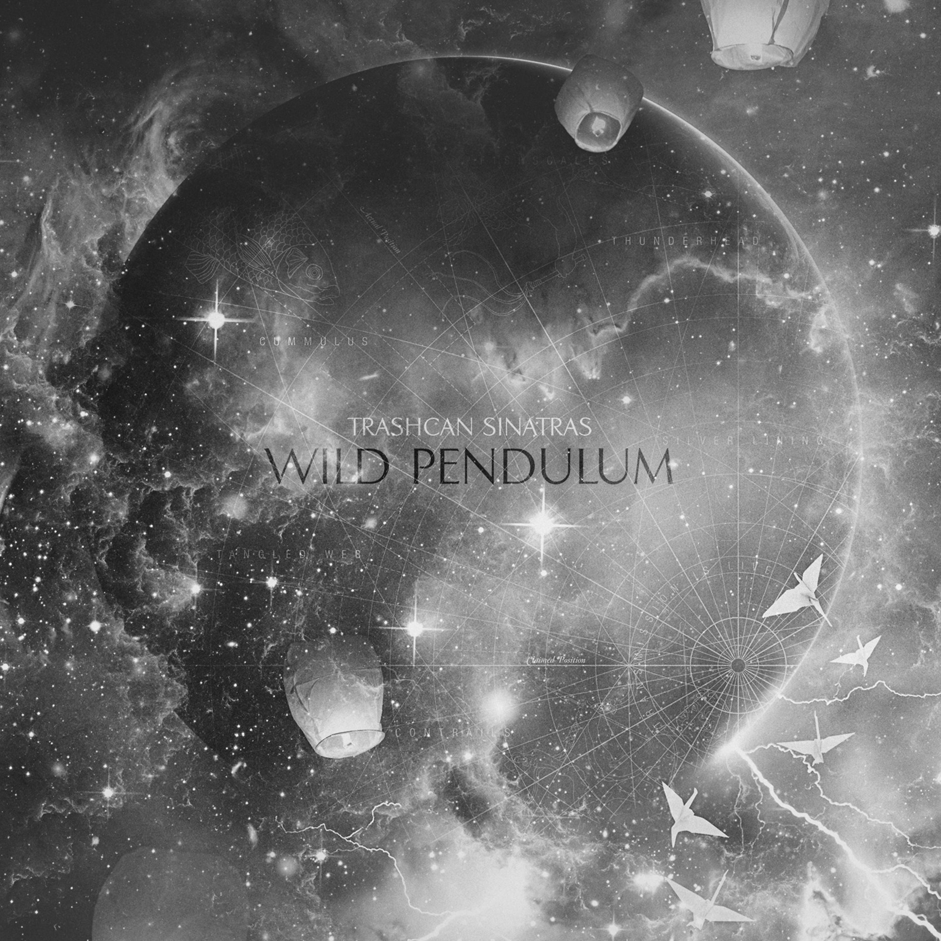 Постер альбома Wild Pendulum